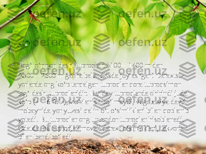 •
Т og‘-o‘rmon-dasht tuproqlari 1100—1400 m dan 
     2500—2600 m gacha balandlikda joylashgan. Daraxtsiz 
yerlarda eng   ko‘p tarqalgan tuproqlar qora tuproqsimon 
tog‘-dasht tuproqlaridir. Bunday tuproqlarda chirindi juda 
ko‘p (4—6 foiz),sho‘rlanish bo‘lmaydi, vegetatsiya davri 
mobaynida yer yuzasi   qalin o‘t o‘simliklari bilan qoplanib 
yotadi. Bu tuproqlar   eng unumdor tuproqlar hisoblanadi. 
Odatda, bu tuproqlar   mevali daraxt o‘simliklari, tokzorlar 
bilan band bo‘ladi. 