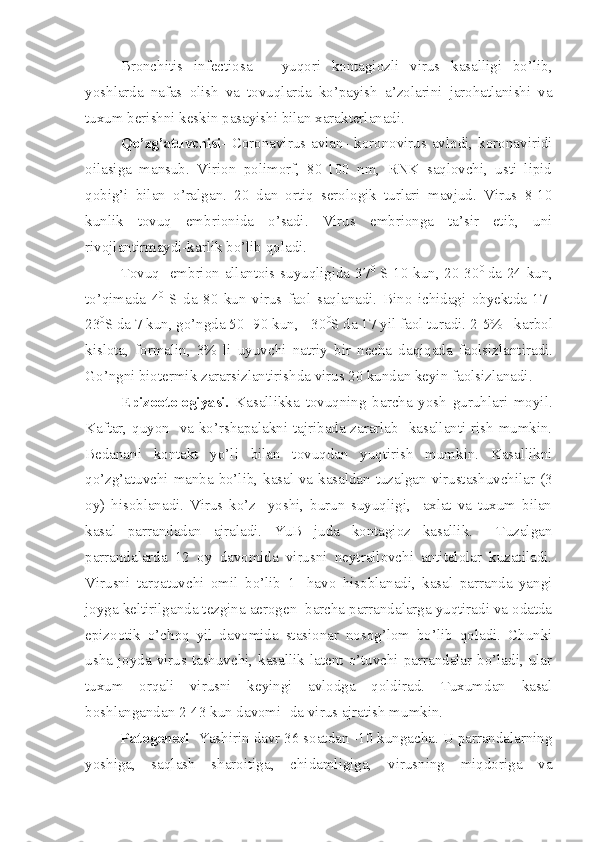 Bronchitis   infectiosa   –   yuqori   kontagiozli   virus   kasalligi   bo’lib,
yoshlarda   nafas   olish   va   tovuqlarda   ko’payish   a’zolarini   jarohatlanishi   va
tuxum berishni keskin pasayishi bilan xarakterlanadi.
Qo’zg’atuvchisi -   Coronavirus  avian-   koronovirus   avlodi,   koronaviridi
oilasiga   mansub.   Virion   polimorf,   80-100   nm,   RNK   saqlovchi,   usti   lipid
qobig’i   bilan   o’ralgan.   20   dan   ortiq   serologik   turlari   mavjud.   Virus   8-10
kunlik   tovuq   embrionida   o’sadi.   Virus   embrionga   ta’sir   etib,   uni
rivojlantirmaydi-karlik bo’lib qoladi. 
Tovuq   embrion allantois suyuqligida 37 0
  S 10 kun, 20-30 0  
da 24 kun,
to’qimada   4 0
  S   da   80   kun   virus   faol   saqlanadi.   Bino   ichidagi   obyektda   17-
23 0
S da 7 kun, go’ngda 50 -90 kun,  -30 0
S da 17 yil faol turadi.  2-5%   karbol
k islo ta,   form alin ,   3%   li   uyuvchi   natriy   bir   necha   daqiqada   faolsiz lantira di .
G o’ ngni  b iotermik  zararsizlantirishda virus 20 kundan keyin  faolsiz lana di .
Epizootologiyasi.   Kasallikka   tovuqning   barcha   yosh   guruhlari   moyil.
Kaftar, quyon   va ko’rshapalakni tajribada zararlab   kasallanti-rish mumkin.
Bedanani   kontakt   yo’li   bilan   tovuqdan   yuqtirish   mumkin.   Kasallikni
qo’zg’atuvchi manba bo’lib, kasal va kasaldan tuzalgan virustashuvchilar (3
oy)   hisoblanadi.   Virus   ko’z     yoshi,   burun   suyuqligi,     axlat   va   tuxum   bilan
kasal   parrandadan   ajraladi.   YuB   juda   kontagioz   kasallik.     Tuzalgan
parrandalarda   12   oy   davomida   virusni   neytrallovchi   antitelolar   kuzatiladi.
Virusni   tarqatuvchi   omil   bo’lib   1-   havo   hisoblanadi,   kasal   parranda   yangi
joyga keltirilganda tezgina aerogen  barcha parrandalarga yuqtiradi va odatda
epizootik   o’choq   yil   davomida   stasionar   nosog’lom   bo’lib   qoladi.   Chunki
usha  joyda  virus  tashuvchi,  kasallik  latent  o’tuvchi  parrandalar  bo’ladi,  ular
tuxum   orqali   virusni   keyingi   avlodga   qoldirad.   Tuxumdan   kasal
boshlangandan 2-43 kun davomi- da virus ajratish mumkin. 
Patogenezi   Yashirin davr 36 soatdan -10 kungacha. U parrandalarning
yoshiga,   saqlash   sharoitiga,   chidamligiga,   virusning   miqdoriga   va 