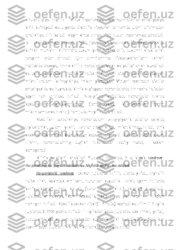 virulentligiga   bog’liq.     Virus   organizmga     respirator   a’zolar   epiteliyasiga
kirib   ko’payadi   va   u   yerda   distrofik   o’zgarish-lar   hamda   ularni   to’qimadan
ajralishiga   olib   keladi.   Keyin   virus  qonga   o’tib   butun   organizmga   tarqaladi.
RIF usulida virusni traxeya, o’pka, jigar, buyrak, taloq va fabresevo xaltasida
ko’rish   mumkin.   Ko’pincha   tuxum   yo’li   jarohatlanib,   tuxumni   shakllanish
jarayoni   izdan   chiqadi.   Qon   tomirlarining   o’tkazuvchanligini   oshishi
natijasida   traxeya,   bronx   shilliq   pardalarida   shish   va   yallig’lanish   kuzatiladi
va  ushbu   jarayonlar      natijasida  nafas  olish  tizimi  a’zolarida  shartli  patogen
mikrofloralarni   ko’payishiga   imkon   yaratiladi.   Virusni   respirator   a’zolar
epiteliyasida va buyrakda klinik sog’aygan parrandalarda bir necha haftadan
keyin   ham   aniqlasa   bo’ladi.   Nosog’lom   xo’jalikda   parrandalar   boshqa
kasallik   qo’z-g’atuvchilariga   (laringotraxeit,   kolibakterioz,   respir.
mikoplazmoz va boshq.) ham juda moyil bo’lib qoladi.
Kasallikni   tarqalishiga   parrandalarni   zoogigiyenik   talablar   asosida
joylashtirish,   ularni   yoshi,   oziqlan-tirish   sifati,   mikroklimat   holati,   tirik
vaksina bilan emlash kabi omillar katta rol o’ynaydi. Kasallik odatda tuxum
olishni,   parrandalarning   tug’ish   bosqichidan   qat’iy   nazar,     keskin
kamaytiradi.
Klinik   belgilari-   shakllari   Yuqumli   bronxitda   3   ta   klinik   sindrom:
Respiratorli,ko’payish azolari  va  Nefritli-nefroz kuzatiladi. 
Respiratorli   sindrom     asosan   jujalarda   bo’lib,   ularda   yo’tal,   qiynalib
nafas   olish,   kekirdak   xirillashi,   burundan   suyuqlik     oqish,   ayrim   hollarda
kon’yunktivit,   ,   rinit,   sinusit   (burun   devori   sh.p.)   belgilari   kuzatiladi.
Jujalarda   anoreksiya,   kam   harakatlik,   issiq   joyga   yaqin-lashish   holatlari
namoyon bo’ladi. Kasallik asosan o’tkir(1-3 hafta) kechadi va o’lim 1-3 oylik
jujalarda   5-33%   gacha   bo’ladi.   1   oylikdan   katta   jujalarda   aks   o’rish,   yo’tal,
quruq   xiril-lash   va   ozroq   burundan   suyuqlik   oqish   kuzatiladi   va   5-10   kun
davom etadi. Jujalar o’sish va rivojlanishdan orqada qoladi. 