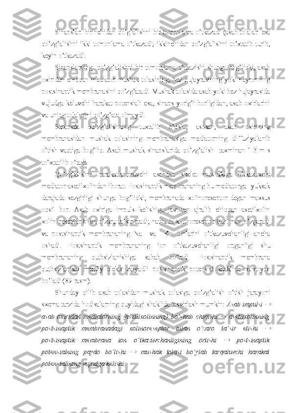 Sinapslar: birinchidan qo’g’alishni bir tomonlama o’tkazadi (asab tolalari esa
qo’zg’alishni   ikki   tomonlama   o’tkazadi;   ikkinchidan-qo’zg’alishni   to’xtatib   turib,
keyin o’tkazadi.
Sinapslarning   qo’zg’alishni bir tomonlama o’tkazishi shunga bog’liqki, asab
oxiridan   chiqqan   mediator   mushak   tolasining,   bez   hujayrasining   yoki   neyronning
postsinaptik membranasini qo’zg’atadi. Mushak tolasida asab yoki bez hujayrasida
vujudga   keluvchi   harakat   potensiali   esa,   sinaps   yorig’i   borligidan,   asab   oxirlarini
va uning tolalarini qo’zg’ata olmaydi.
Sinapsda   qo’zg’alishning   tuxtalib   o’tishi,   asosan,   asab   oxirining
membranasidan   mushak   tolasining   membranasiga   mediatorning   diffuziyalanib
o’tish   vaqtiga   bog’liq.   Asab-mushak   sinapslarida   qo’zg’alish     taxminan   1-3   m   s
to’xtatilib o’tadi. 
Qo’zg’alishni   harakatlantiruvchi   asabdan   skelet   mushakiga   o’tkazuvchi
mediator asetilxolindan iborat. Postsinaptik membrananing bu mediatorga   yuksak
darajada   sezgirligi   shunga   bog’liqki,   membranada   xolinoreseptor   degan   maxsus
oqsil   bor.   Asab   oxiriga   impuls   kelishiga   javoban   ajralib   chiqqan   asetilxolin
xolinoreseptor bilan o’zaro ta’sir etadi; natijada xolinoreseptor tuzilmasi o’zgaradi
va   postsinaptik   membrananing   Na+   va     K+   ionlarini   o’tkazuvchanligi   ancha
oshadi.   Postsinaptik   membrananing   ion   o’tkazuvchanligi   ortganligi   shu
membrananing   qutbsizlanishiga   sabab   bo’ladi.   Postsinaptik   membrana
qutbsizlanishi   manfiy   elektr   zaryadli   postsinaptik   potensial   shaklida   namoyon
bo’ladi (89-rasm).
Shunday   qilib   asab   tolasidan   mushak   tolasiga   qo’zg’alish   o’tish   jarayoni
sxema tarzida hodisalarning quyidagi shaklida tasvirlash mumkin:  Asab impulsi 
asab   oxiridan   mediatorning   (asetilxolinning)   bo’shab   chiqishi  	
   asetilxolinning
postsinaptik   membranadagi   xolinoreseptor   bilan   o’zaro   ta’sir   etishi  	

postsinaptik   membrana   ion   o’tkazuvchanligining   ortishi  	
   postsinaptik
potensialning   paydo   bo’lishi  	
   mushak   tolasi   bo’ylab   tarqaluvchi   harakat
potensialining vujudga kelishi . 