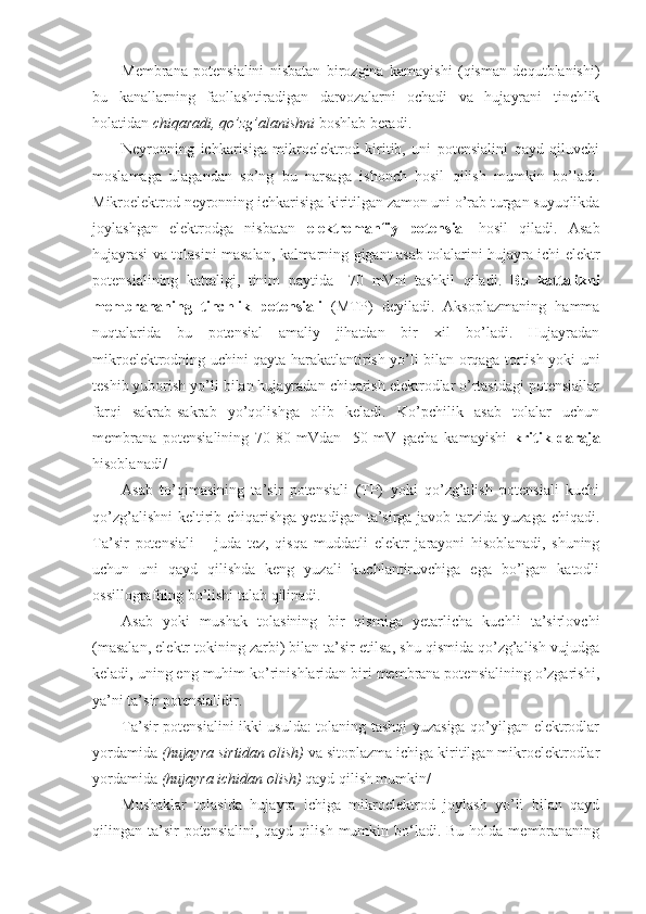 Membrana   potensialini   nisbatan   birozgina   kamayishi   (qisman   dequtblanishi)
bu   kanallarning   faollashtiradigan   darvozalarni   ochadi   va   hujayrani   tinchlik
holatidan  chiqaradi, qo’zg’alanishni  boshlab beradi.
Neyronning   ichkarisiga   mikroelektrod   kiritib,   uni   potensialini   qayd   qiluvchi
moslamaga   ulagandan   so’ng   bu   narsaga   ishonch   hosil   qilish   mumkin   bo’ladi.
Mikroelektrod neyronning ichkarisiga kiritilgan zamon uni o’rab turgan suyuqlikda
joylashgan   elektrodga   nisbatan   elektromanfiy   potensial   hosil   qiladi.   Asab
hujayrasi va tolasini masalan, kalmarning gigant asab tolalarini hujayra ichi elektr
potensialining   kattaligi,   tinim   paytida   –70   mVni   tashkil   qiladi.   Bu   kattalikni
membrananing   tinchlik   potensiali   (MTP)   deyiladi.   Aksoplazmaning   hamma
nuqtalarida   bu   potensial   amaliy   jihatdan   bir   xil   bo’ladi.   Hujayradan
mikroelektrodning uchini qayta harakatlantirish yo’li bilan orqaga tortish yoki uni
teshib yuborish yo’li bilan hujayradan chiqarish elektrodlar o’rtasidagi potensiallar
farqi   sakrab-sakrab   yo’qolishga   olib   keladi.   Ko’pchilik   asab   tolalar   uchun
membrana   potensialining   70-80   mVdan   -50   mV   gacha   kamayishi   kritik   daraja
hisoblanadi/
Asab   to’qimasining   ta’sir   potensiali   (TP)   yoki   qo’zg’alish   potensiali   kuchi
qo’zg’alishni  keltirib chiqarishga yetadigan ta’sirga javob tarzida yuzaga chiqadi.
Ta’sir   potensiali   –   juda   tez,   qisqa   muddatli   elektr   jarayoni   hisoblanadi,   shuning
uchun   uni   qayd   qilishda   keng   yuzali   kuchlantiruvchiga   ega   bo’lgan   katodli
ossillografning bo’lishi talab qilinadi.
Asab   yoki   mushak   tolasining   bir   qismiga   yetarlicha   kuchli   ta’sirlovchi
(masalan, elektr tokining zarbi) bilan ta’sir etilsa, shu qismida qo’zg’alish vujudga
keladi, uning eng muhim ko’rinishlaridan biri membrana potensialining o’zgarishi,
ya’ni ta’sir potensialidir. 
Ta’sir potensialini ikki usulda: tolaning tashqi yuzasiga qo’yilgan elektrodlar
yordamida  (hujayra sirtidan olish)  va sitoplazma ichiga kiritilgan mikroelektrodlar
yordamida  (hujayra ichidan olish)  qayd qilish mumkin/
Mushaklar   tolasida   hujayra   ichiga   mikroelektrod   joylash   yo’li   bilan   qayd
qilingan ta’sir  potensialini,  qayd  qilish  mumkin  bo‘ladi.  Bu  holda  membrananing 