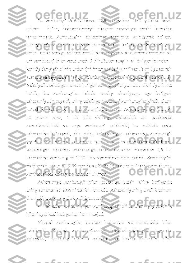 Bu   zamburug’   A.A.Eiloxova   IIZR   tomonidan   1940   yillarda   kashf
etilgan     bo’lib,   issiqxonalardagi   okqanot   pashshaga   qarshi   kurashda
ishlatilmokda.   Zamburug’ni   laboratoriya   sharoitida   ko’paytirsa   bo’ladi,
buning   uchun   biolaboratoriyada   don   kuyasini   ko’paytirishda   ishlatilgan
arpani sut shishasiga solinadi aitolai yoki qaynoq suvda zararsizlantiriladi va
uni  zamburug’ bilan  zararlanadi.  2-3 haftadan  suvg  hosil  bo’lgan  ipchalar –
konidiyalar yigib olinib undan (milimetr suvda 6-8 millvard konidiya sporali
suspenziya tayyorlanib issiqxonalardagi oqqant pashshaga qarshi purkaladi).
Nektriyeiid avlodiga mansub bo’lgan zamburug’lar yumaloq piknidiya iborat
bo’lib,   bu   zamburug’lar   ichida   amaliy   ahamiyatga   ega   bo’lgani
ashersoniyadir, qaysiqi, uning tarkibiga 60 turdagi zamburug’lar kiradi, ularni
ko’pchiligi xaltachasimon zamburug’lardan iborat. Ashersoniya   zamburug’i
20   gramm   agar,   1   litr   piio   sislosiga   aralashtirib   uni   avtoklavda
zararsizlantiriladi   va   unga   zamburug’   qo’shiladi,   bu   muhitda   qayta
ashersoniya   ko’payadi,   shu   tariqa   ko’paytirilgan   ashersoniya   zamburug’i
yig’ib   olinib   Adjariya   sharoitida   iyun   –   iyul   oylarida   tsitrus   ekinlarida
tarqaladigan   oqqanaot   pashshasiga   qarshi   kurashish   maqsadida   0,5   litr
ashersoniya zamburug’ini 1000 litr suvga aralashtirib purkaladi. Zamburug’ni
rivojlanishi uchun 80-90% namlik va 20-25 0S issiqliq bo’lishi lozim shunda
zamburug’ tez ko’payib oqqanotni uldiradi.
Ashersoniya   zamburug’i   bilan   oqqanotga   qarshi   ishlov   berilganda
uning samarasi 95-97% ni tashkil etmokda.   Ashersoniyaning afzallik tomoni
shundaki, u znkarziyada kasallik tarqatadi.
- Tabiatda   mavjud   bo’lgan   zamburug’lar   ichida,   ularning   yirtqichlik
bilan hayot kechiradiganlari ham mavjud.
Yirtqich   zamburug’lar   qanotsiz   hasharotlar   va   nematodalar   bilan
oziqlanadi.   Yirtqich   zamburug’larning   ipchalari-misheliylari   tuproqda
ko’payadi,   tuproqdagi   o’simlik   qoldiqlari   va   boshqa   chirindilar   bilan 