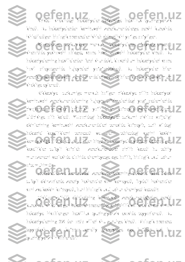 Kristall   shaklidagi   bakteriyalar   turkumiga   batsillius   tyuringiyenzis
kiradi.   Bu   bakteriyalardan   kemiruvchi   zararkunandalarga   qarshi   kurashda
ishlatiladigan biologik preparatlar ishlab chiqarilishi yo’lga qo’yilgan.
Klostridium   turkumiga   mansub   bakteriyalarga   havosiz-anaerob
sharoitida   yashovchi   oblegat,   spora   hosil   qiluvchi   bakteriyalar   kiradi.   Bu
bakteriyalarning batsillalardan farqi shundaki, klostridium bakteriyalari spora
hosil   qilayotganida   hujayralari   yo’g’onlashadi.   Bu   bakteriyalar   bilan
zararlangan kemiruvchi zararkunandalar sekinlik bilan kurib boradi va mum
shakliga aylanadi.
Rikketsiya     turkumiga   mansub   bo’lgan   rikketsiya   pillip   bakteriyasi
kemiruvchi   zararkunandalarning   hujayra   to’qimalaridagi   yog’   qatlamlarida
rivojlanadi,   sporalari   bo’linishi   yo’li   bilan   ko’payib   zararkunandalarni
uldirishga   olib   keladi.   YUqoridagi   bakteriyalar   turkumi   qishloq   xo’jaligi
ekinlarining   kemiruvchi   zararkunandalari   tanasida   ko’payib,   turli   xildagi
bakterial   kasalliklarni   tarqatadi   va   ularni   tabiatdagi   sonini   keskin
kamayishiga olib keladi. SHu bilan birga bu bakteriyalar yordamida tarqalgan
kasalliklar   tufayli   ko’plab     zararkunandalar   qirilib   ketadi   bu   tabiiy
munozanatni  saqlashda  alohida  ahamityatga  ega  bo’lib,  biologik  usul  uchun
o’ta muhimdir.
Hasharotlar   va   kemiruvchi   zararkunandalarning   bakterial   kasalliklari
tufayli   ekinzorlarda   zarariy   hasharotlar   soni   kamayadi,   foydali   hasharotlar
soni zsa keskin ko’payadi, buni biologik usul uchun ahamiyati kattadir.
Qishloq   xo’jalik   ekinlarining   kemiruvchi   zararkunandalariga   qarshi
kurashda ishlatiladigan bakterial preparatlar ko’pchilik xollarda kristallsimon
bakteriya   hisoblangan   batsillius   tyuringiyenzis   asosida   tayyorlanadi.   Bu
bakteriyalarning   2%   dan   ortiq   xillari   shu   guruhga   kiradi.   Biologik   preparat
tayyorlash   uchun   ko’proq   amaliy   ahamiyatga   ega   bo’lgan   turi   bu
tyuringiyenzis hisoblanadi. 