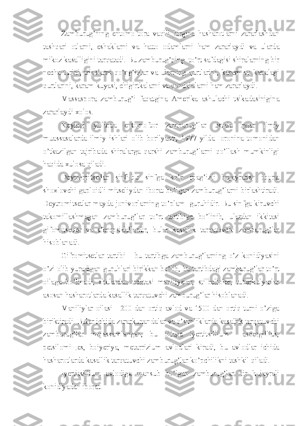 Zamburug’ning   entomoftora   vaqili   birgina   hasharotlarni   zararlashdan
tashqari   otlarni,   eshaklarni   va   hatto   odamlarni   ham   zararlaydi   va   ularda
mikoz kasalligini tarqatadi. Bu zamburug’ning  to’rt safdagisi shiralarning bir
necha   turini,   tripslarni   qo’ng’izlar   va   ularning   qurtlarini,   karam   oq   kapalagi
qurtlarini, karam kuyasi, chigirtkalarni va qandalalarni ham zararlaydi.
Massaspora   zamburug’i   faqatgina   Amerika   ashulachi   tsikadasinigina
zararlaydi xolos.
Keyingi   yillarda   entomoftor   zamburug’lar   ustida   qator   ilmiy
muassasalarda   ilmiy   ishlari   olib   borilyapti,   1977   yilda   Ioronina   tomonidan
o’tkazilgan   tajribada   shiralarga   qarshi   zamburug’larni   qo’llash   mumkinligi
haqida xulosa qiladi.
Deytromitsetlar   sinfi-bu   sinfga   ko’p   mag’izli   hujayradan   iborat
shoxlovchi gaploidli mitseliydan iborat bo’lgan zamburug’larni birlashtiradi.
Deytromitsetlar-mayda jonivorlarning to’plam   guruhidir. Bu sinfga kiruvchi
takomillashmagan   zamburug’lar   to’rt   tartibiga   bo’linib,   ulardan   ikkitasi
gifomitsetlar   va   sferopsidallardir,   bular   kasallik   tarqatuvchi   zamburug’lar
hisoblanadi.
Gifromitsetlar   tartibi   -   bu   tartibga   zamburug’larning   o’z   konidiyasini
o’zi olib yuradigan guruhlari birikkan bo’lib, bu tartibdagi zamburug’lar to’rt
oilaga   bo’linadi,   shulardan   uchtasi   maniliyelar,   stilbellolar,   tuberkulyarlar
asosan hasharotlarda kasallik tarqatuvchi zamburug’lar hisoblanadi.
Maniliylar   oilasi   -   200   dan   ortiq   avlod   va   1500   dan   ortiq   turni   o’ziga
biriktiradi. Bular ichida zararkunandalar va o’simliklarda kasallik tarqatuvchi
zamburug’lar   mujassamlangan,   bu   oilaga   iyertitsillium     aspergillius,
petsilomi щ es,   boiyeriya,   metarrizium   avlodlari   kiradi,   bu   avlodlar   ichida
hasharotlarda kasallik tarqatuvchi zamburug’lar ko’pchilikni tashkil qiladi.
Iyertitsillium   avlodiga   mansub   bo’lgan   zamburug’lar   bir   hujayrali
konidiyadan iborat. 