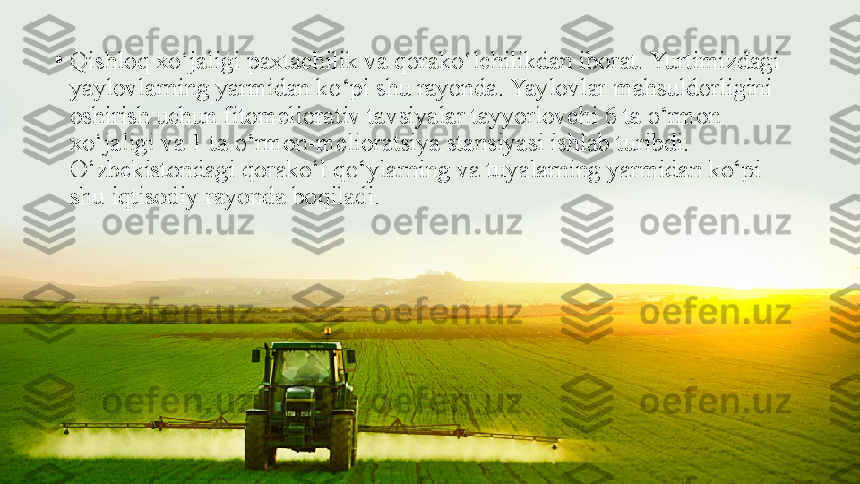 •
Qishloq xo‘jaligi paxtachilik va qorako‘lchilikdan iborat. Yurtimizdagi 
yaylovlarning yarmidan ko‘pi shu rayonda. Yaylovlar mahsuldorligini 
oshirish uchun fitomeliorativ tavsiyalar tayyorlovchi 6 ta o‘rmon 
xo‘jaligi va 1 ta o‘rmon-melioratsiya stansiyasi ishlab turibdi. 
O‘zbekistondagi qorako‘l qo‘ylarning va tuyalarning yarmidan ko‘pi 
shu iqtisodiy rayonda boqiladi. 