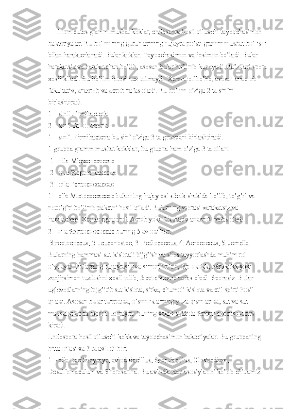       Firmicutes gramm musbat koklar, endospora hosil qiluvchi tayoqchasimon 
bakteriyalar. Bu bo’limning guruhlarining hujayra po’sti gramm musbat bo’lishi 
bilan harakterlanadi. Bular koklar. Tayoqchasimon va ipsimon bo’ladi. Bular 
harakatsiz va harakatchan bo’lib, asosan bular bo’linib kupayadi. Ba’zilari spora
xosil kiladi. Bu bo’lim fotosintez qilmaydi. Xemotrof bo’lib, asosan anaerob 
fakultativ, anaerob va aerob nafas oladi. Bu bo’lim o’ziga 2 ta sinfni 
birlashtiradi.
1 – sinf. Firmibacteria
2 – sinf. Tallobacteria
1 – sinf . Firmibacteria bu sinf o’ziga 3 ta gruppani birlashtiradi.
1-gruppa gramm musbat kokklar, bu gruppa ham o’ziga 3 ta oilani
1- oila Mictococcaceae
2- oila Steptococcaceae
3- oila Peptococcaceae
1 – oila Mictococcaceae bularning hujayrasi sferik shaklda bo’lib, to’g’ri va 
noto’g’ri bo’linib paketni hosil qiladi. Bularning sporasi xarakatsiz va 
haraktchan. Xemoorganotrof. Aerob yoki fakultativ anaerob nafas oladi.
2 - oila Steptococcoceae buning 5 avlodi bor.
Strcptococcus, 2. Jcuconostoc, 3. Pcdiococcus, 4. Acrococcus, 5. Jemella
Bularning hammasi sut kislotali bijg’ish va silos tayyorlashda muhim rol 
o’ynaydi. Bularning hujayrasi ovalsimon bo’lib, diplokokk, tetrokokk yoki 
zanjirsimon tuzilishni xosil qilib, faqat anaerob nafas oladi.  Sporasiz. Bular 
uglevodlarning bijg’itib sut kislota, sirka, chumoli kislota va etil spirti hosil 
qiladi. Asosan bular tuproqda, o’simliklarning yuza qismlarida, sut va sut 
mahsulotlarida doimo uchraydi. Buning vakili sifatida Streptococcus Lactrs 
kiradi.
Endospora hosil qiluvchi kokk va tayoqchasimon bakteriyalar.  Bu gruppaning 
bitta oilasi va 3 ta avlodi bor.
1 – oila Bacillacyeaye, avlod Bacillus, Sporolacillus, Clostredium, 
Desulfomaculum va Shorosarina. Bu avlodlardan asosiylarini ko’rib chiqamiz. 