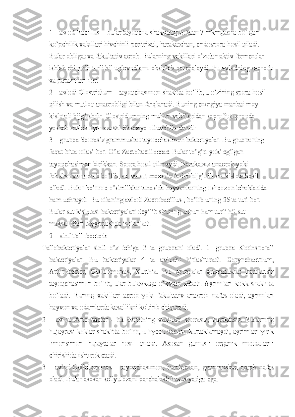 1 – avlod Bacillus   -  bular tayoqcha shaklidagi 0.3dan 7 mkmgacha bo’lgan 
ko’pchilik vakillari hivchinli peritrixal, harakatchan, endospora hosil qiladi. 
Bular obligat va fakultativ aerob. Bularning vakillari o’zidan aktiv fermentlar 
ishlab chiqarib turli hil uglevodlarni oksidlab parchalaydi. Bu avlodning saprofit
va parazitlari bor.
2 – avlodi Clostridium – tayoqchasimon shaklda bo’lib, u o’zining spora hosil 
qilish va mutloq anaerobligi bilan farqlanadi. Buning energiya manbai moy 
kislotali bijg’ishdir. Clostridumning muhim vakillaridan saprofit tuproqda 
yashab molekulyar azotni fiksasiya qiluvchilardandir.
3 – gruppa Sporasiz grammusbat tayoqchasimon bakteriyalar. Bu gruppaning 
faqat bitta oilasi bor. Oila Zactobacilloccac. Bular to’g’ri yoki egilgan 
tayoqchasimon birikkan. Spora hosil qilmaydi. Harakatsiz anaerob yoki 
fakultativ anaerob bo’lib, sut va sut maxsulotlarini bijg’itib sut kislota hosil 
qiladi. Bular ko’proq o’simliklar tanasida hayvonlarning oshqozon ichaklarida 
ham uchraydi. Bu oilaning avlodi Zacrobacillus   , bo’lib uning 25 ta turi bor. 
Bular sut kislotasi bakteriyalari deyilib shuning uchun ham turli hil sut 
maxsulotlari tayyorlashda ishlatiladi. 
2 – sinf Tallobacteria
Tallobakteriyalar   sinfi   o’z   ichiga   3   ta   gruppani   oladi.   1-   gruppa   Korinsporali
bakteriyalar.   Bu   bakteriyalar   4   ta   avlodni   birlashtiradi.   Corynebactrium,
Arthrobacter,   Cellulomonas,   Kurthia.   Bu   gruppalar   grammusbat   harakatsiz
tayoqchasimon   bo’lib,   ular   bulavkaga   o’xshab   ketadi.  Ayrimlari   kokk   shaklida
bo’ladi.   Buning   vakillari   aerob   yoki   fakultativ   anaerob   nafas   oladi,   ayrimlari
hayvon va odamlarda kasallikni keltirib chiqaradi.
2   –   avlod   Arteobacter   –   bu   avlodning   vakillari   sporasiz,   harakatsiz.   Bularning
hujayrasi koklar shaklida bo’lib, u hyech qachon kurtaklamaydi, ayrimlari yirik
limonsimon   hujayralar   hosil   qiladi.   Asosan   gumusli   organik   moddalarni
chirishida ishtirok etadi.
3   –   avlod   Cellulomonas   –   tayoqchasimon,   haraktchan,   grammusbat,   aerob   nafas
oladi. Bular asosan sellyulozani parchalash hususiyatiga ega. 