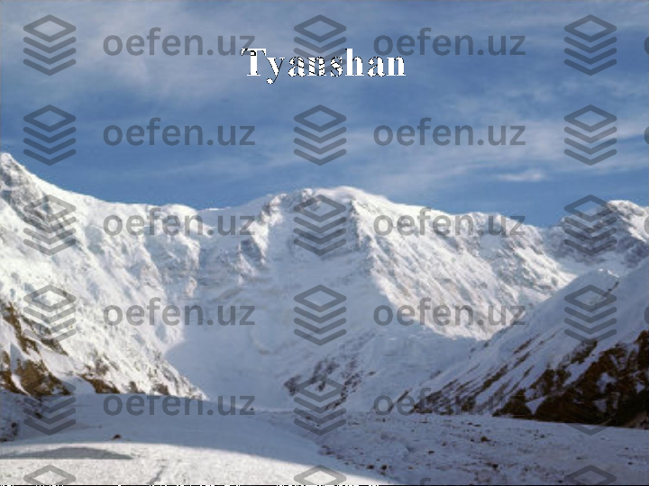 Tyanshan 