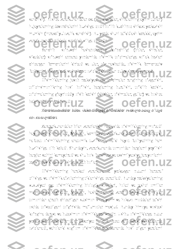 sanchish). Boshqa zararkunandalar esa (bit, sikadalar, shiralarning ayrim turlari)
hujayralarning devorchalarini buzishga qodir bo‘lib kuchliroq shikast yetkazishi
mumkin (intrasellyulozalik sanchish). Bu yerda shuni  ta’kidlash kerakki, ayrim
zararkunandalar ikkala sanchish xiliga qodirdir.
Sanchib   –so‘ruvchi   hasharotlarning   ko‘pchiligi   (bitlar,   shiralar,
sikadalar)   so‘ruvchi   apparat   yordamida   o‘simlik   to‘qimalariga   so‘lak   bezlari
chiqargan   fermentlarini   kiritadi   va   ular,   o‘z   navbatida,   o‘simlik   fermentativ
faoliyatini o‘zgartiradi va hasharot oziqlanishi uchun qulay sharoit yaratadi.
O‘simliklarning   javob   reaksiyasi   esa   to‘qimalar   rangining   o‘zgarishi,
to‘lqinsimonlikning   hosil   bo‘lishi,   barglarning   buralishi,   to‘kilib   ketishi,
to‘qimalarning g‘ayrioddiy o‘sib ketishi  (shishlar, o‘simtalar, gallar) va boshqa
belgilar bilan ifodalanadi.
Zararkunandalar   bilan   shikastlangan   o‘simliklar   reaksiyasining   o‘ziga
xos xususiyatlari.
Zarararkunandalar   bilan   zararlanishi   natijasida   o‘simliklarning   mo‘tadil
hayot kechishi  buziladi. Masalan, kemiruvchi zararkunandalar bilan zararlanish
nafaqat   o‘simliklarning   anatomik   tuzilishini,   balki   hayot   faoliyatining   ham
buzilishiga  olib  keladi.  Shundayin,  zararkunanda  tomonidan  barglarni  yeyilishi
barglar sathini kamaytiradi va shu bois fotosintez va assimilyatsiya jarayonlarini
tegishli ravishda buzilishiga sabab bo‘ladi.
O‘simliklarning   harakati   zararkunanda   yetkazgan   puturni   bartaraf
qilishga va o‘simlik a’zolarining tiklanishiga qaratiladi. Bunday reaksiyalarning
xususiyati   esa   o‘simliklarning   biologik   xossalari,   holati   va   tashqi   omillar
majmuasiga   bog‘liqdir.   Masalan,   hasharotlarning   zararli   faoliyati   o‘simliklar
tomonidan ajratib chiqarilgan sutsimon shira yelim va hokazo moddalari ta’siri
ostida   to‘xtatilgani   to‘g‘risida   ma’lumotlar   mavjud.   Bunday   himoya   vositasi
ko‘pgina   daraxt   va   butasimon   o‘simliklarga   xosdir.   Ushbu   o‘simliklarga   putur
yetkazuvchi   zararkunandalar   aksariyat   hollarda   faqat   zaif   daraxt   va   butalarda
oziqlanadi,   vaholanki   sog‘lom   o‘simliklar   zararkunanda   hosil   qilgan   yaralarni 