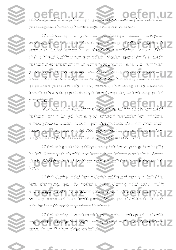 ishkastlaganda). G‘allagullilarning poyalarini tuplash davrida g‘alla pashshalari
jarohatlaganda o‘simlik qo‘shimcha poya hosil qiladi va hokazo.
O‘simliklarning   u   yoki   bu   zararlanishga   qarata   reaksiyalari
zararkunandalar   tomonidan   shikast   yetkazilishiga   bog‘liqdir.   Qanchalik
zararlanish   darajasi   kamroq   bo‘lsa,   shunchalik   o‘simlikning   o‘z-o‘zini   tiklab
olish   qobiliyati   kuchliroq   namoyon   bo‘ladi.   Masalan,   agar   o‘simlik   so‘ruvchi
hasharotlar va kanalar tomonidan kam shikastlangan bo‘lsa va ular o‘simlikdan
yo‘q   qilinsa,   o‘simlik   organizmi   osonlikcha   o‘zining   fiziologik   jarayonlarini
tiklab   olishi   mumkin.   O‘zga   holat   zararkunanda   o‘simlikning   butun   a’zolarini
qo‘pollikcha   jarohatlasa   ro‘y   beradi,   masalan,   o‘simlikning   asosiy   ildizlarini
kemirib qo‘ysa yoki  poyani  ichini  yeb ketsa (simqurtlar, tunlamlarning qurtlari
tomonidan).
Muzokara  uchun   yana  bir  misol.   Agar  barg  sathining   3-5%   kemiruvchi
hasharot     tomonidan   yeb   ketilsa   yoki   so‘ruvchi   hasharotlar   kam   miqdorda
shikast   yetkazsa,   ulardan   halos   bo‘lgan   o‘simlik   tezda   o‘z-o‘zini   tiklab   oladi.
Lekin,   agar   barg   satxining   50-75%   yeyilib   ketilsa,   bunda   o‘simlik   o‘zini
o‘ngarib ololmaydi va nobud bo‘lishi muqarrar (Chesnokov, 1953).
O‘simlikning tiklanish qobiliyati uning holatiga va yoshiga ham bog‘liq
bo‘ladi. Odatda yosh o‘simliklar shikastlanishdan ko‘proq zarar ko‘radi. Ammo
ularda   tiklanish   qobiliyati   kuchliroq   namoyon   bo‘lishini   ham   inobatga   olish
kerak.
O‘simliklarning   holati   ham   tiklanish   qobiliyatini   namoyon   bo‘lishida
katta   ahamiyatga   ega.   O‘z   navbatida   o‘simliklarning   holati   tashqi   muhit
sharoitlariga, birinchi o‘rinda ularning parvarishiga bog‘liqdir. Demak, sog‘lom
va   oziqa   elementlari   bilan   kerakligicha   ta’minlangan   o‘simliklarda   tiklanish
qobiliyati tegishli ravishda yorqinroq ifodalanadi.
O‘simliklarning   zararkunandalarga   qarshi   reaksiyalari   o‘simlik
organizmning irsiyatiga ham bog‘liq bo‘lib, ulardagi ma’lum zararkunandalarga
qarata chidamliligi ham o‘ziga xos bo‘ladi. 