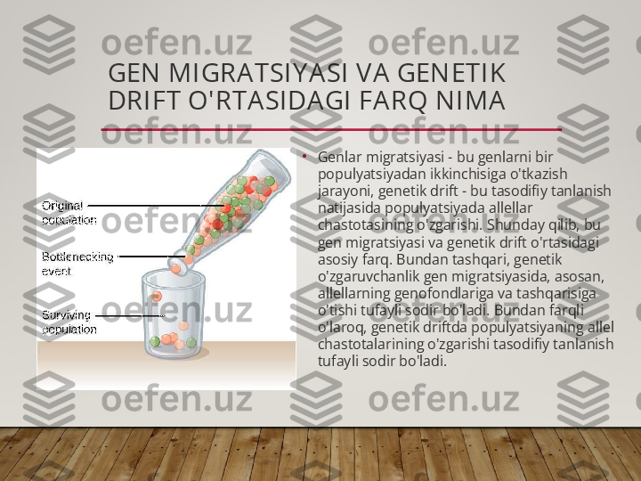 GEN  MI GRA TSI Y A SI  V A  GEN ETI K  
DRI FT O'RTA SI DA GI  FA RQ N I MA
•
Genlar migratsiyasi - bu genlarni bir 
populyatsiyadan ikkinchisiga o'tkazish 
jarayoni, genetik drift - bu tasodifiy tanlanish 
natijasida populyatsiyada allellar 
chastotasining o'zgarishi. Shunday qilib, bu 
gen migratsiyasi va genetik drift o'rtasidagi 
asosiy farq. Bundan tashqari, genetik 
o'zgaruvchanlik gen migratsiyasida, asosan, 
allellarning genofondlariga va tashqarisiga 
o'tishi tufayli sodir bo'ladi. Bundan farqli 
o'laroq, genetik driftda populyatsiyaning allel 
chastotalarining o'zgarishi tasodifiy tanlanish 
tufayli sodir bo'ladi.  