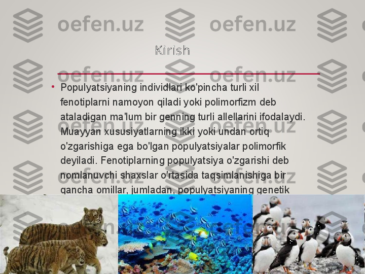 •
Populyatsiyaning individlari ko'pincha turli xil 
fenotiplarni namoyon qiladi yoki polimorfizm deb 
ataladigan ma'lum bir genning turli allellarini ifodalaydi. 
Muayyan xususiyatlarning ikki yoki undan ortiq 
o'zgarishiga ega bo'lgan populyatsiyalar polimorfik 
deyiladi. Fenotiplarning populyatsiya o'zgarishi deb 
nomlanuvchi shaxslar o'rtasida taqsimlanishiga bir 
qancha omillar, jumladan, populyatsiyaning genetik 
tuzilishi va atrof-muhit ta'sir qiladi  Kirish  