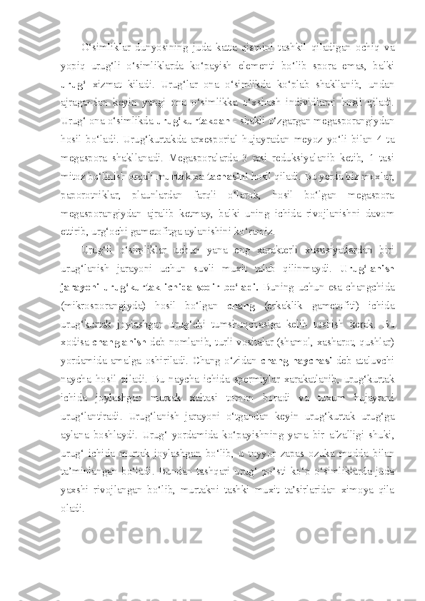 O‘simliklar   dunyosining   juda   katta   qismini   tashkil   qiladigan   ochiq   va
yopiq   urug‘li   o‘simliklarda   ko‘payish   elementi   bo‘lib   spora   emas,   balki
urug‘   xizmat   kiladi.   Urug‘lar   ona   o‘simlikda   ko‘plab   shakllanib,   undan
ajragandan   keyin   yangi   ona   o‘simlikka   o‘xshash   individlarni   hosil   qiladi.
Urug‘ ona o‘simlikda  urug‘kurtakdan -  shakli o‘zgargan megasporangiydan
hosil   bo‘ladi.   Urug‘kurtakda   arxesporial   hujayradan   meyoz   yo‘li   bilan   4   ta
megaspora   shakllanadi.   Megasporalarda   3   tasi   reduksiyalanib   ketib,   1   tasi
mitoz bo‘linish orqali  murtak xaltachasini  hosil qiladi. Bu yerda biz moxlar,
paporotniklar,   plaunlardan   farqli   o‘larok,   hosil   bo‘lgan   megaspora
megasporangiydan   ajralib   ketmay,   balki   uning   ichida   rivojlanishni   davom
ettirib, urg‘ochi gametofitga aylanishini ko‘ramiz. 
Urug‘li   o‘simliklar   uchun   yana   eng   xarakterli   xususiyatlardan   biri
urug‘lanish   jarayoni   uchun   suvli   muxit   talab   qilinmaydi.   Urug‘lanish
jarayoni   urug‘kurtak   ichida   sodir   bo‘ladi.   Buning   uchun   esa   changchida
(mikrosporangiyda)   hosil   bo‘lgan   chang   (erkaklik   gametofiti)   ichida
urug‘kurtak   joylashgan   urug‘chi   tumshuqchasiga   kelib   tushish   kerak.   Bu
xodisa   changlanish   deb nomlanib, turli vositalar (shamol, xasharot, qushlar)
yordamida   amalga   oshiriladi.   Chang   o‘zidan   chang   naychasi   deb   ataluvchi
naycha   hosil   qiladi.   Bu   naycha   ichida   spermiylar   xarakatlanib,   urug‘kurtak
ichida   joylashgan   murtak   xaltasi   tomon   boradi   va   tuxum   hujayrani
urug‘lantiradi.   Urug‘lanish   jarayoni   o‘tgandan   keyin   urug‘kurtak   urug‘ga
aylana   boshlaydi.   Urug‘   yordamida   ko‘payishning   yana   bir   afzalligi   shuki,
urug‘   ichida   murtak   joylashgan   bo‘lib,   u   tayyor   zapas   ozuka   modda   bilan
ta’minlangan   bo‘ladi.   Bundan   tashqari   urug‘   po‘sti   ko‘p   o‘simliklarda   juda
yaxshi   rivojlangan   bo‘lib,   murtakni   tashki   muxit   ta’sirlaridan   ximoya   qila
oladi.  