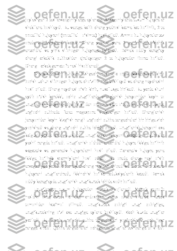 joylashgan 2 tasi arxeogoniylarga aylanadi. Arxegoniylarda tuxum hujayralar
shakllana boshlaydi. Bu vaqtga kelib chang yadrosi ketma-ket bo‘linib, 2 ta
protallial hujayrani (protallial - o‘simta) hosil qiladi. Ammo bu hujayralar tez
orada   reduksiyalanib   ketadi.   Chang   yadrosi   yana   2   ga   bo‘linib,   kichik
anteridial   va   yirik   sifonogen   hujayraga   aylanadi.   Demak   oddiy   karag‘ay
changi   erkaklik   qubbasidan   ajralayotgan   2   ta   hujayradan   iborat   bo‘ladi.
Chang - erkak gametofit nasl hisoblanadi. 
Chang   urg‘ochi   qubbaga   tushgach,   mikropile   orqali   arxegoniyga   kirib
borish uchun sifonogen hujayra cho‘zilib o‘sa boshlaydi va chang naychasini
hosil qiladi. Chang naychasi o‘sib kirib, nusellusga birikadi. Bu yerda shuni
aytib   o‘tish   kerakki,   ochiq   urug‘lilarda   changlanish   jarayonidan   keyin   to
urug‘lanish   jarayonigacha   bir   yildan   ortiqrok   vaqt   o‘tadi,   chunki   bu   davrda
urg‘ochi   qubbada   faqat   megaspora   shakllangan   bo‘ladi.   Changlanish
jarayonidan keyin kizg‘ish rangli urg‘ochi qubba tangachalari bir-biriga zich
yopishadi   va   chang   urg‘ochi   qubba   ichida   qoladi.   Urug‘lanish   jarayoni   esa
kelgusi   yozda   amalga   oshadi.   Urug‘lanish   jarayoni   ketayotgan   qubbalar
yashil rangda bo‘ladi. Urug‘lanish oldidan anteridial hujayra ikkiga bo‘linib
vegetativ   va   generativ   hujayralarni   hosil   qiladi.   Generativ   hujayra   yana
ikkiga   bo‘linib   spermiylarni   hosil   qiladi.   Bu   orada   chang   nayi   o‘sib
arxegoniyga yetadi. Spermiylar chang nayidan chiqadi va ulardan biri tuxum
hujayrani   urug‘lantiradi,   ikkinchisi   bo‘lsa   reduksiyalanib   ketadi.   Demak
oddiy karag‘ayda urug‘lanish urug‘kurtak ichida sodir bo‘ladi. 
Urug‘langan   tuxum   hujayradan   murtak   rivojlanadi.   Murtak   sporofit
nasldir.   Urug‘kurtak   ichidagi   endosperm   zapas   ozuqa   sifatida   murtak
tomonidan   iste’mol   qilinadi.   Urug‘kurtak   qobig‘i   urug‘   qobig‘iga,
urug‘kurtakning   o‘zi   esa   urug‘ga   aylana   boshlaydi.   Kech   kuzda   urug‘lar
yetiladi.   Bu   davrda   urg‘ochi   qubba   tangachalari   yog‘ochlanib,   och   jigar
rangga   kiradi.   Q ubba   tangachalari   ochilganda   urug‘lar   tashqariga   to‘kiladi. 