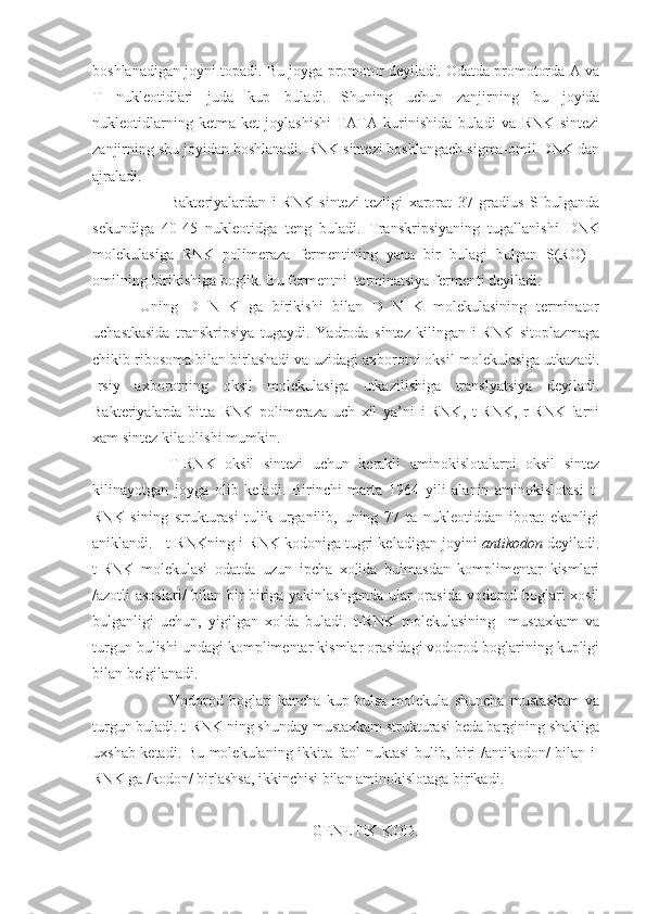 boshlanadigan joyni topadi. Bu joyga promotor deyiladi. Odatda promotorda A va
T   nukleotidlari   juda   kup   buladi.   Shuning   uchun   zanjirning   bu   joyida
nukleotidlarning   ketma-ket   joylashishi   TATA   kurinishida   buladi   va   RNK   sintezi
zanjirning shu joyidan boshlanadi. RNK sintezi boshlangach sigma-omil DNK dan
ajraladi.
Bakteriyalardan   i-RNK   sintezi   tezligi   xarorat   37   gradius   S   bulganda
sekundiga   40-45   nukleotidga   teng   buladi.   Transkripsiyaning   tugallanishi   DNK
molekulasiga   RNK   polimeraza   fermentining   yana   bir   bulagi   bulgan   S(RO)   -
omilning birikishiga boglik. Bu fermentni  terminatsiya fermenti deyiladi.
  Uning   D   N   K   ga   birikishi   bilan   D   N   K   molekulasining   terminator
uchastkasida   transkripsiya   tugaydi.   Yadroda   sintez   kilingan   i-RNK   sitoplazmaga
chikib ribosoma bilan birlashadi va uzidagi axborotni oksil molekulasiga utkazadi.
Irsiy   axborotning   oksil   molekulasiga   utkazilishiga   translyatsiya   deyiladi.
Bakteriyalarda   bitta   RNK   polimeraza   uch   xil   ya’ni   i-RNK,   t-RNK,   r-RNK   larni
xam sintez kila olishi mumkin.
T-RNK   oksil   sintezi   uchun   kerakli   aminokislotalarni   oksil   sintez
kilinayotgan   joyga   olib   keladi.   Birinchi   marta   1964   yili   alanin   aminokislotasi   t-
RNK   sining   strukturasi   tulik   urganilib,   uning   77   ta   nukleotiddan   iborat   ekanligi
aniklandi.   t-RNKning i-RNK kodoniga tugri keladigan joyini  antikodon  deyiladi.
t-RNK   molekulasi   odatda   uzun   ipcha   xolida   bulmasdan   komplimentar   kismlari
/azotli asoslari/ bilan bir-biriga yakinlashganda ular orasida vodorod boglari xosil
bulganligi   uchun,   yigilgan   xolda   buladi.   t-RNK   molekulasining     mustaxkam   va
turgun bulishi undagi komplimentar kismlar orasidagi vodorod boglarining kupligi
bilan belgilanadi.
Vodorod   boglari   kancha   kup   bulsa   molekula   shuncha   mustaxkam   va
turgun buladi. t-RNK ning shunday mustaxkam strukturasi beda bargining shakliga
uxshab ketadi. Bu molekulaning ikkita faol nuktasi bulib, biri /antikodon/ bilan i-
RNK ga /kodon/ birlashsa, ikkinchisi bilan aminokislotaga birikadi.
GENETIK KOD. 