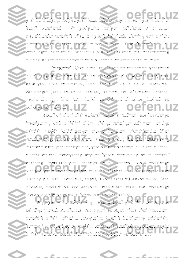 yosh baliqlar(segoletki) va yoshi katta baliqlar moyil, 2- va 3-yoshli baliqlar
kuchli   zararlanadi.   Bir   yoshgacha   bo‘lgan   baliqlarda   7-12   tadan
qisqichbaqalar   parazitlik   qilsa,   2-3-yoshli   baliqlarda   ularning   soni   o‘nlab,
hattoki   yuzlab   nusxani   tashkil   qilishi   mumkin.   Kasallik   manbai   –   bu
zararlangan   baliqlardir.   Baliqchilik   suv   xo‘jaliklarida   qisqichbaqalarning
nauplial va kopepoditli bosqichlari suv oqimi bilan kirib qolishi mumkin.
                      Patogenezi.   Qisqichbaqalar   o‘zlarining   antennalari   yordamida
baliqlarning jabra qatlamlarini jarohatlaydi va yallig‘lanishni chaqiradi, jabra
epiteliyasi   o‘sib   qalinlashadi,   qon   tomirlarni   tiqilib   qolishi   kuzatiladi.
Zararlangan   jabra   qatlamlari   oqaradi,   so‘ngra   esa   to‘qimalarni   nekrozi
rivojlanadi.   Qon   bilan   ta’minlanish   va   kislorod   almashuvi   buziladi   va
asfiksiya kelib chiqadi.  
               K asallikni oldini olish va karshi kurashish tadirlari. Suv   h avzalariga
invaziyaning   kirib   q olishini   oldini   olishga   q aratilgan   tadbirlarni   amalga
oshirish.   Tashib   keltirilayotgan   o‘ tx o‘ r   bali q larni   q is q ichba q alar   bilan
zararlanganligiga   tekshirish   shart.   Katta   yoshdagi   bali q lar   invaziyaning
tashuvchi ekanligini inobatga olib ,  yosh va katta yoshdagi bali q larni alo h ida-
alo h ida   sa q lash.   Invaziyaning   keng   mi q ’yosda   tar q alganligi   va   uni   bartaraf
etishning   murakkabligini   inobatga   olib,   bunday   suv   h avzalariga
sinergazilyozga   chalinmaydigan   bali q larni   o‘ stirish,urchitish   (karp,sazan   va
ularning gibridlari, tovonbali q , pelyad, kit va bosh q alar) tavsiya etiladi. Bosh
h ovuzlar,   h avzalar   va   suv   tashuvchi   kanallardan   pastki   suv   h avzalariga
invaziyaning kirishiga yul  qo‘ ymaslik choralarini k o‘ rish ,  
Argulyoz   –   bu   baliqlarning   invazion   kasalligi   bo‘lib,   uni   Argulus
avlodiga   mansub   A.foliaceus,   A.coregoni   va   A.japonicus   qisqichbaqalarni
parazitlik   qilishi   oqibatida   qo‘zg‘atilib,   kasallik   baliqlarning   oriqlanishi,
kamqonligi,   oziqani   emay   qo‘yishi,   terida   turli   kattalikdagi   yaralarni   paydo
bo‘lishi va ba’zan esa baliqlarni nobud bo‘lishi bilan xarakterlanadi. 