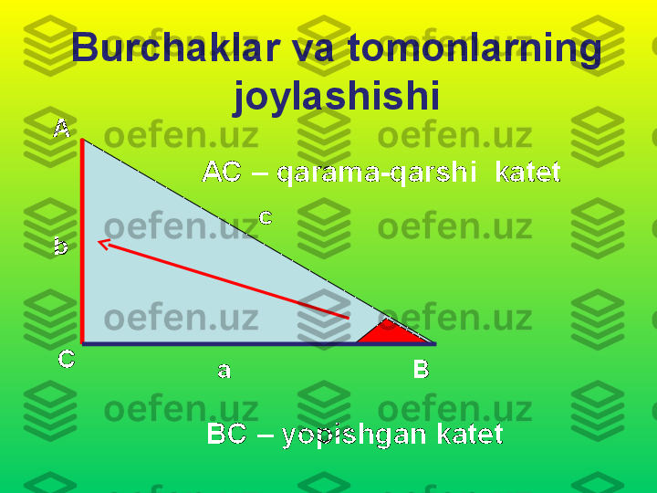 Burchaklar va tomonlarning 
joylashishi
А
С
Вb c
aАС –  qarama-qarshi  katet
ВС –  yopishgan katet 