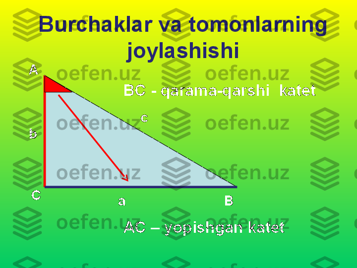 Burchaklar va tomonlarning 
joylashishi
А
С
Вb c
a ВС -  qarama-qarshi  katet
АС –  yopishgan katet 