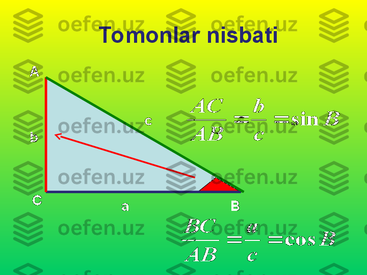 Tomonlar nisbati
А
С
Вb c
aB	
c
b	
АВ
АС	
sin			
B	
c
а	
АВ
ВС	
cos		 