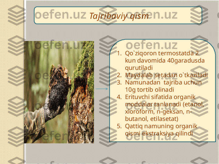 1. Qo`ziqoron termostatda 2 
kun davomida 40garadusda 
qurutiladi 
2. Maydalab setadan o`tkaziladi
3. Namunadan  tajriba uchun 
10g tortib olinadi  
4. Erituvchi sifatida organik 
moddalar tanlanadi (etanol, 
xloroform, n-geksan, n- 
butanol, etilasetat)
5. Qattiq namuning organik 
qismi ekstraksiya qilindi  Tajribaviy  qism   