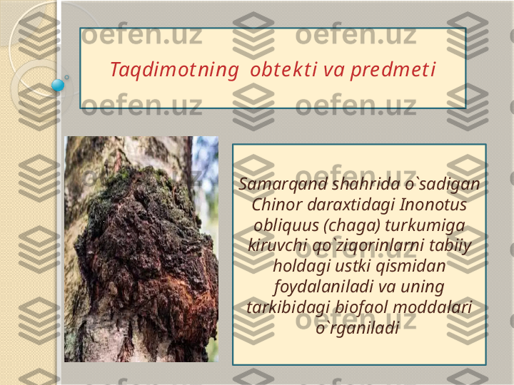 Taqdimot ning  obt e k t i va pre dme t i
Samarqand shahrida o`sadigan 
Chinor daraxtidagi Inonotus 
obliquus (chaga) turkumiga 
kiruvchi qo`ziqorinlarni tabiiy 
holdagi ustki qismidan 
foydalaniladi va uning 
tarkibidagi biofaol moddalari 
o`rganiladi            