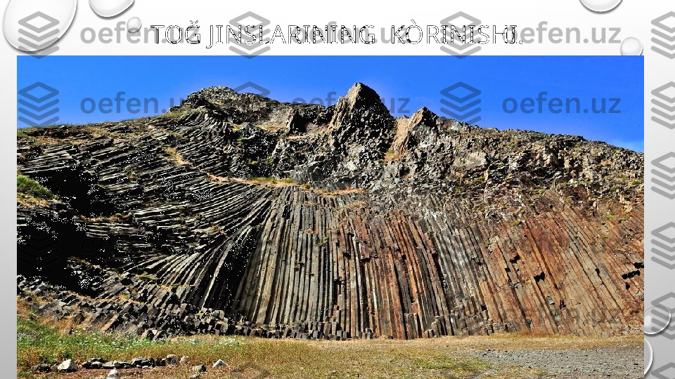 TOĞ JINSLARINING  KÒRINISHI. 