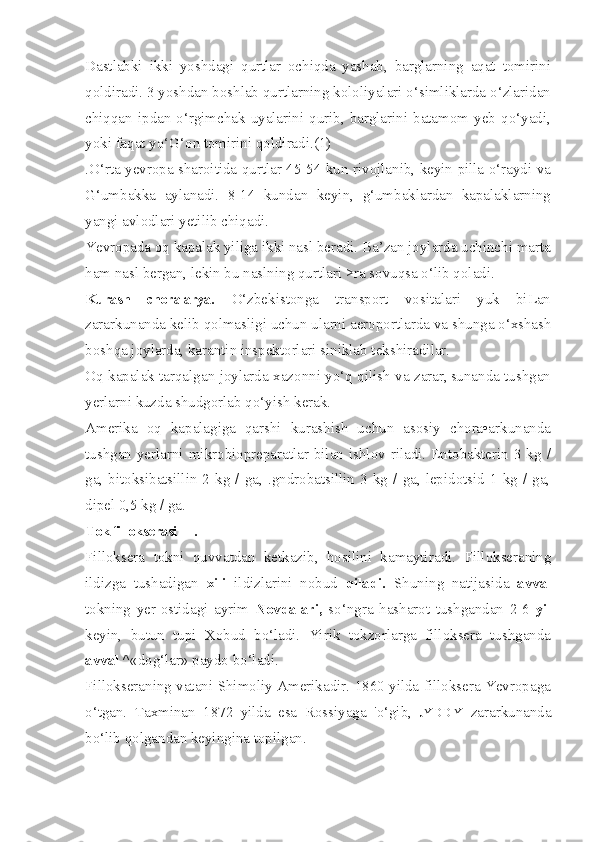 Dastlabki   ikki   yoshdagi   qurtlar   ochiqda   yashab,   barglarning   aqat   tomirini
qoldiradi. 3 yoshdan boshlab qurtlarning kololiyalari o‘simliklarda o‘zlaridan
chiqqan ipdan  o‘rgimchak  uyalarini qurib,  barglarini batamom yeb qo‘yadi,
yoki faqat yo‘G‘on tomirini qoldiradi.(1)
.O‘rta yevropa sharoitida qurtlar 45-54 kun rivojlanib, keyin pilla o‘raydi va
G‘umbakka   aylanadi.   8-14   kundan   keyin,   g‘umbaklardan   kapalaklarning
yangi avlodlari yetilib chiqadi.
Ye vropada oq kapalak yiliga ikki nasl beradi. Ba’zan joylarda uchinchi marta
ham nasl bergan, lekin bu naslning qurtlari >ra sovuqsa o‘lib qoladi.
Kurash   choralarya.   O‘zbekistonga   transport   vositalari   yuk   biLan
zararkunanda kelib qolmasligi uchun ularni aeroportlarda  va  shunga o‘xshash
boshqa joylarda, karantin inspektorlari siniklab tekshiradilar.
Oq kapalak tarqalgan joylarda xazonni yo‘q qilish va zarar,|sunanda tushgan
yerlarni kuzda shudgorlab qo‘yish kerak.
Amerika   oq   kapalagiga   qarshi   kurashish   uchun   asosiy   chora•arkunanda
tushgan yerlarni mikrobiopreparatlar bilan ishlov riladi. Entobakterin 3 kg /
ga, bitoksibatsillin 2  kg /  ga, .gndrobatsillin 3  kg /  ga, lepidotsid 1  kg / ga,
dipel 0,5 kg / ga.
Tok fillokserasi —.
Filloksera   tokni   quvvatdan   ketkazib,   hosilini   kamaytira di.   Fillokseraning
ildizga   tushadigan   xili   ildizlarini   nobud   qiladi.   Shuning   natijasida   avval
tokning   yer-ostidagi   ayrim   Novdalari,   so‘ngra   hasharot   tushgandan   2-6   yil
keyin,   butun   tupi   Xobud   bo‘ladi.   Yirik   tokzorlarga   filloksera   tushganda
avval  ^«dog‘lar» paydo bo‘ladi.
Fillokseraning vatani Shimoliy Amerikadir. 1860 yilda filloksera Yevropaga
o‘tgan.   Taxminan   1872   yilda   esa   Rossiyaga   'o‘gib,   JYDDIY   zararkunanda
bo‘lib qolgandan keyingina topilgan. 