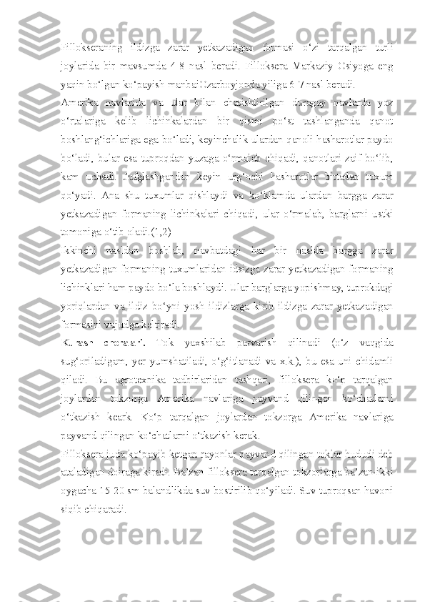 Fillokseraning   ildizga   zarar   yetkazadigan   formasi   o‘zi   tarqalgan   turli
joylarida   bir   mavsumda   4-8   nasl   beradi.   Filloksera   Markaziy   Osiyoga   eng
yaqin bo‘lgan ko‘payish manbaiOzarboyjonda yiliga 6-7 nasl beradi.
Amerika   navlarida   va   ular   bilan   chatishtirilgan   duragay   navlarda   yoz
o‘rtalariga   kelib   lichinkalardan   bir   qismi   po‘st   tashlanganda   qanot
boshlang‘ichlariga ega bo‘ladi, keyinchalik ulardan qanoli hasharotlar paydo
bo‘ladi,   bular   esa   tuproqdan   yuzaga   o‘rmalab   chiqadi,   qanotlari   zaif   bo‘lib,
kam   uchadi.   Jufglashgandan   keyin   urg‘ochi   hasharotlar   bittadan   tuxum
qo‘yadi.   Ana   shu   tuxumlar   qishlaydi   va   ko‘klamda   ulardan   bargga   zarar
yetkazadigan   formaning   lichinkalari   chiqadi,   ular   o‘rmalab,   barglarni   ustki
tomoniga o‘tib oladi.(1,2)
Ikkinchi   nasldan   boshlab,   navbatdagi   har   bir   naslda   bargga   zarar
yetkazadigan formaning tuxumlaridan idsizga zarar yetkazadigan formaning
lichinklari ham paydo bo‘la boshlaydi. Ular barglarga yopishmay, tuprokdagi
yoriqlardan   va   ildiz   bo‘yni   yosh   ildizlarga   kirib   ildizga   zarar   yetkazadigan
formasini vujudga keltiradi.
Kurash   choralari.   Tok   yaxshilab   parvarish   qilinadi   (o‘z   vaqgida
sug‘oriladigam,   yer   yumshatiladi,   o‘g‘itlanadi   va   x.k.),   bu   esa   uni   chidamli
qiladi.   Bu   agrotexnika   tadbirlaridan   tashqari,   filloksera   ko‘p   tarqalgan
joylardan   tokzorga   Amerika   navlariga   payvand   qilingan   ko‘chatlarni
o‘tkazish   keark.   Ko‘p   tarqalgan   joylardan   tokzorga   Amerika   navlariga
payvand qilingan ko‘chatlarni o‘tkazish kerak.
Filloksera juda ko‘payib ketgan rayonlar payvand qilingan toklar hududi deb
ataladigan doiraga kiradi. Ba’zan filloksera tarqalgan tokzorlarga ba’zan-ikki
oygacha 15-20 sm balandlikda suv bostirilib qo‘yiladi. Suv tuproqsan havoni
siqib chiqaradi. 