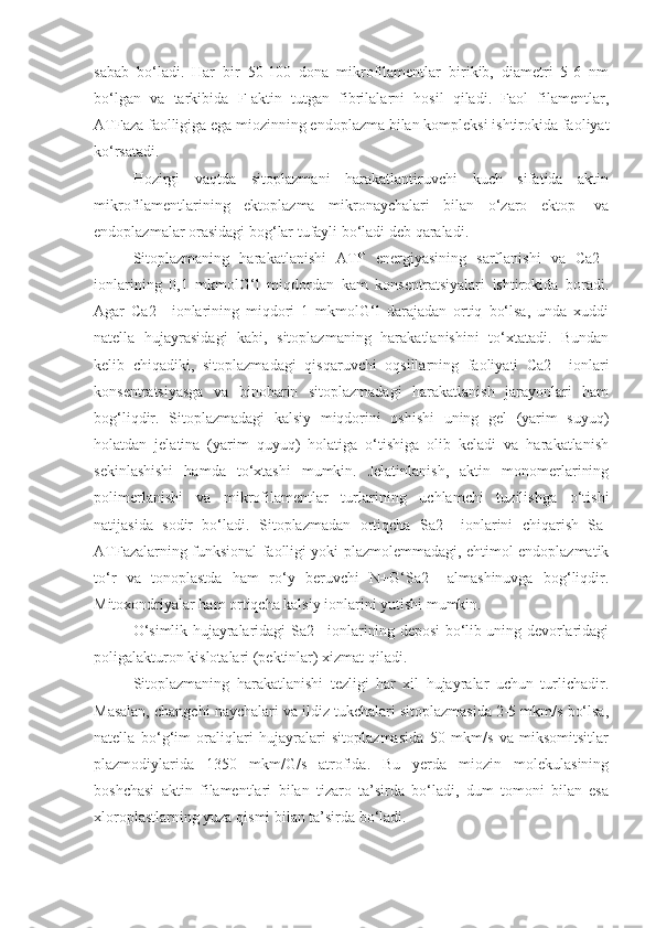 sabab   bo‘ladi.   Har   bir   50-100   dona   mikrofilamentlar   birikib,   diametri   5-6   nm
bo‘lgan   va   tarkibida   F-aktin   tutgan   fibrilalarni   hosil   qiladi.   Faol   filamentlar,
ATFaza faolligiga ega miozinning endoplazma bilan kompleksi ishtirokida faoliyat
ko‘rsatadi.
Hozirgi   vaqtda   sitoplazmani   harakatlantiruvchi   kuch   sifatida   aktin
mikrofilamentlarining   ektoplazma   mikronaychalari   bilan   o‘zaro   ektop-   va
endoplazmalar orasidagi bog‘lar tufayli bo‘ladi deb qaraladi.
Sitoplazmaning   harakatlanishi   ATF   energiyasining   sarflanishi   va   Ca2+
ionlarining   0,1   mkmolG‘l   miqdordan   kam   konsentratsiyalari   ishtirokida   boradi.
Agar   Ca2+   ionlarining   miqdori   1   mkmolG‘l   darajadan   ortiq   bo‘lsa,   unda   xuddi
natella   hujayrasidagi   kabi,   sitoplazmaning   harakatlanishini   to‘xtatadi.   Bundan
kelib   chiqadiki,   sitoplazmadagi   qisqaruvchi   oqsillarning   faoliyati   Ca2+   ionlari
konsentratsiyasga   va   binobarin   sitoplazmadagi   harakatlanish   jarayonlari   ham
bog‘liqdir.   Sitoplazmadagi   kalsiy   miqdorini   oshishi   uning   gel   (yarim   suyuq)
holatdan   jelatina   (yarim   quyuq)   holatiga   o‘tishiga   olib   keladi   va   harakatlanish
sekinlashishi   hamda   to‘xtashi   mumkin.   Jelatinlanish,   aktin   monomerlarining
polimerlanishi   va   mikrofilamentlar   turlarining   uchlamchi   tuzilishga   o‘tishi
natijasida   sodir   bo‘ladi.   Sitoplazmadan   ortiqcha   Sa2+   ionlarini   chiqarish   Sa-
ATFazalarning funksional faolligi yoki plazmolemmadagi, ehtimol endoplazmatik
to‘r   va   tonoplastda   ham   ro‘y   beruvchi   N+G‘Sa2+   almashinuvga   bog‘liqdir.
Mitoxondriyalar ham ortiqcha kalsiy ionlarini yutishi mumkin.
O‘simlik hujayralaridagi Sa2+ ionlarining deposi bo‘lib uning devorlaridagi
poligalakturon kislotalari (pektinlar) xizmat qiladi.
Sitoplazmaning   harakatlanishi   tezligi   har   xil   hujayralar   uchun   turlichadir.
Masalan, changchi naychalari va ildiz tukchalari sitoplazmasida 2-5 mkm/s bo‘lsa,
natella   bo‘g‘im   oraliqlari   hujayralari   sitoplazmasida   50   mkm/s   va   miksomitsitlar
plazmodiylarida   1350   mkm/G/s   atrofida.   Bu   yerda   miozin   molekulasining
boshchasi   aktin   filamentlari   bilan   tizaro   ta’sirda   bo‘ladi,   dum   tomoni   bilan   esa
xloroplastlarning yuza qismi bilan ta’sirda bo‘ladi. 