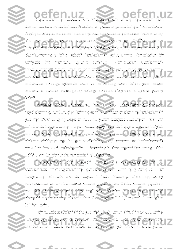 Organoidlarning   harakatlanishi.   Sitoplazma   kabi   undagi   organoidlar     ham
doimo harakatlanishda bo‘ladi. Masalan, eng katta organoid bo‘lgan’ xloroplastlar
faqatgina tsitoplazma oqimi bilan birgalikda harakatlanib qolmasdan  balkim uning
o‘zi   ham   muxtor   ravishda   harakatlanish   xususiyatiga   ega.   Bu   holni   natella
hujayralari   sitoplazmasi   misolida   sinab   ko‘rish   mumkin.   Sitoplazma   tomchisida
ektoplazmaning   yo‘qligi   sababli   harakatlanish   yo‘q,   ammo   xloroplastlar   bir
soniyada   bir   marotaba   aylanib   turishadi.   Xloroplastlar   sitoplazmatik
mikrofilamentlar   tutami   bilan   miozin   orqali   bog‘langan.   Uning   molekulasining
boshchasi   aktin   filamentlari   bilan   o‘zaro   ta’sirda   bo‘ladi.   Xloroplastlarning   ATF
molekulasi   hisobiga   aylanishi   aktin   va   miozinning   uzaro   ta’siri   yani   miozin
molekulasi   burilish   burchagining   aktinga   nisbatan   o‘zgarishi   natijasida   yuzaga
keladi.
Yuqorig a   o‘sish.   Tuproq   va   havoda   ildiz   tukchalarining,   changchi
naychalarining, zamburug‘ giflarining va moxlar protonemalarining harakatlanishi
yuqorigi   o‘sish   tufayli   yuzaga   chiqadi.   Bu   yuqori   darajada   qutblangan   o‘sish   tipi
bo‘lib unda hujayralarning o‘qiga nisbatan qatiy ravishda hujayra devorlari bo‘ylab
moddalar sintezi ro‘y beradi. Yuqoriga o‘suvchi hujayralarning uchki qismida turli
elektron   zichligiga   ega   bo‘lgan   vezikulalar,   Golji   apparati   va   Endoplazmatik
retikulum   hosilalari   joylashgandir.   Hujayraning   boshqa   organoidlari   uning   ushbu
uchki qismidan birmuncha nariroqda joylashgandir. 
Hujayralarning   uchki   o‘suvchi   qismiga   xos   xususiyatlardan   biri   bu
sitoplazmada   mikronaychalarning   gumbazchasimon   uchining   yo‘qligidir.   Ular
hujayraning   silindrik   qismida   paydo   bo‘ladi.   Yuqoriga   o‘sishning   asosiy
ishtirokchilaridan   biri   bu   maxsus   shiraning   ajralishidir.   Ushbu   shiraning   ajralishi
esa   Ca2+   ionlarining   miqdoriga   bog‘liqdir.   Masalan   tradeskansiya   o‘simligi
changchi   naychalarining   o‘sishi   uchun   Ca+   miqdori   0,1-1,0   mkmolG‘l   oralig‘ida
bo‘lishi lozim.
Tajribalarda tasdiqlanishicha yuqorigi o‘sish uchun shirachi vezikulalarning
hujayraning   uchki   qismiga   tashiluvi   o‘ta   muhimdir.   Ular   o‘zlari   bilan   birga
bisintez uchun material va sintetaza fermentlarini tashiydi. Litik fermentlar yuqori 