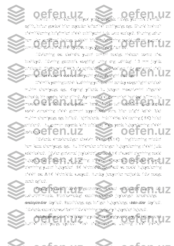 Boshoqli   o‘simliklarning   poyasi   yotib   qolganda   ildizga   yaqinrok   qismidan
egilib, bo‘tun gavdasi bilan qaytadan ko‘tarilish qobiliyatiga ega. Chunki boshoqli
o‘simliklarning bo‘g‘imlari o‘sish qobiliyatini juda uzoq saqlaydi. Shuning uchun
ham   ular   gorizontal   holatga   tushishi   bilan   bo‘g‘imning   pastki   tomoni   yuqorigi
tomonidan tezroq o‘sa boshlaydi, va poya yuqoriga ko‘tariladi.
Ildizlarning   esa   aksincha   yuqori   tomoni   pastiga   nisbatan   tezroq   o‘sa
boshlaydi.   Ildizning   geotropik   sezgirligi   uning   eng   uchidagi   1-2   mm   joyida
to‘planadi. Ch. Darvin (1880) o‘z tajribalarida uchi kesilgan ildiz gorizontal o‘sib
yerning tortish kuchini sezish qobiliyatini yo‘qotganligini aniqlagan.
O‘simlik yerning tortish kuchining yo‘nalishini qanday sezganligini aniqlash
muhim   ahamiyatga   ega.   Keyingi   yillarda   bu   jarayon   mexanizmini   o‘rganish
sohasida bir qancha ishlar qilindi. Ayniqsa o‘sish gormonlari haqidagi ta’limot bu
masalani   hal   qilishda   ancha   yordam   berdi.   Bunda   turli   organlarning   geotropik
sezish   zonasining   o‘sish   gormoni   tayyorlovchi   zona   bilan   to‘g‘ri   kelish   fakti
muhim ahamiyatga ega bo‘ladi. Tajribalarda   indolilsirka kislotaning (ISK) holati
aniqlandi.    Bu   gormon   qayerda  ko‘p  to‘plansa   o‘sha   yerda  hujayralarning  o‘sishi
tezlashadi.
Ildizlarda   sintezlanadigan   abssizin   kislota   (ABK)   –   ingibitorning   miqdori
ham   katta   ahamiyatga   ega.   Bu   birikmalar   to‘plangan   hujayralarning   o‘sishi   juda
sekinlashadi. Ildizlar gorizontal joylashtirilganda, ABK o‘suvchi  qismining pastki
hujayralarida   to‘planadi   va   ularning   o‘sishini   susaytiradi.   Natijada   o‘suvchi
qismining   yuqori   hujayralari   ISK   ishtirokida   tez   o‘sadi   va   pastki   hujayralarning
o‘sishi   esa   ABK   ishtirokida   susayadi.   Bunday   jarayonlar   natijasida   ildiz   pastga
qarab egiladi.
Keyingi   yillarda   ildizning   geotropizm   harakati   statolitlarga   bog‘liq   deb
tushuntirilmoqda.   Sitoplazmadagi   statolit   kraxmali   joylashgan   tanachalarga   –
amiloplastlar   deyiladi.   Statolitlarga   ega   bo‘lgan   hujayralarga   statositlar   deyiladi.
Ildizlarda statositlar vazifasini ildiz kinining markaziy hujayralari bajaradi.
Fototropizm   deb o‘simliklarning yorug‘lik energiyasining yo‘nalishiga qarab
burilish   qobiliyatiga   aytiladi.   Yosh   o‘simliklar   va   ularning   o‘sish   qismlari 