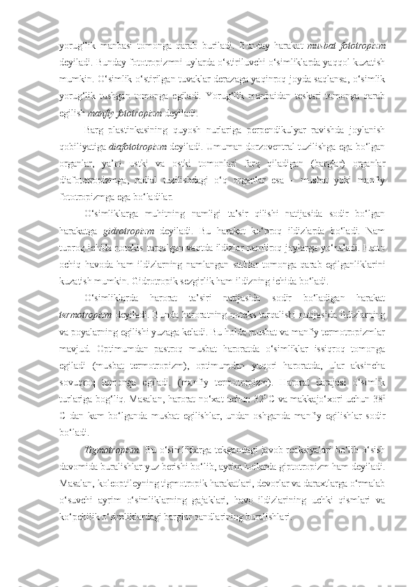 yorug‘lik   manbasi   tomonga   qarab   buriladi.   Bunday   harakat   musbat   fototropizm
deyiladi. Bunday fototropizmni uylarda o‘stiriluvchi o‘simliklarda yaqqol kuzatish
mumkin. O‘simlik o‘stirilgan tuvaklar derazaga yaqinroq joyda saqlansa, o‘simlik
yorug‘lik   tushgan   tomonga   egiladi.   Yorug‘lik   manbaidan   teskari   tomonga   qarab
egilish  manfiy fototropizm  deyiladi. 
Barg   plastinkasining   quyosh   nurlariga   perpendikulyar   ravishda   joylanish
qobiliyatiga   diafototropizm   deyiladi. Umuman dorzoventral tuzilishga ega bo‘lgan
organlar,   ya’ni   ustki   va   ostki   tomonlari   farq   qiladigan   (barglar)   organlar
diafototropizmga,   radial   tuzilishdagi   o‘q   organlar   esa   –   musbat   yoki   manfiy
fototropizmga ega bo‘ladilar.
O‘simliklarga   muhitning   namligi   ta’sir   qilishi   natijasida   sodir   bo‘lgan
harakatga   gidrotropizm   deyiladi.   Bu   harakat   ko‘proq   ildizlarda   bo‘ladi.   Nam
tuproq ichida notekis tarqalgan vaqtda ildizlar namliroq joylarga yo‘naladi. Hatto
ochiq   havoda   ham   ildizlarning   namlangan   sathlar   tomonga   qarab   egilganliklarini
kuzatish mumkin. Gidrotropik sezgirlik ham ildizning ichida bo‘ladi.
O‘simliklarda   harorat   ta’siri   natijasida   sodir   bo‘ladigan   harakat
termotropizm   deyiladi.   Bunda   haroratning   noteks   tarqalishi   natijasida   ildizlarning
va poyalarning egilishi yuzaga keladi. Bu holda musbat va manfiy termotropizmlar
mavjud.   Optimumdan   pastroq   musbat   haroratda   o‘simliklar   issiqroq   tomonga
egiladi   (musbat   termotropizm),   optimumdan   yuqori   haroratda,   ular   aksincha
sovuqroq   tomonga   egiladi.   (manfiy   termotropizm).   Harorat   darajasi   o‘simlik
turlariga bog‘liq. Masalan, harorat no‘xat uchun 32 0  
C va makkajo‘xori uchun 38 0
C   dan   kam   bo‘lganda   musbat   egilishlar,   undan   oshganda   manfiy   egilishlar   sodir
bo‘ladi.
Tigmotropizm.   Bu o‘simliklarga tekgandagi  javob reaksiyalari  bo‘lib o‘sish
davomida buralishlar yuz berishi bo‘lib, ayrim hollarda giptotropizm ham deyiladi.
Masalan, koleoptileyning tigmotropik harakatlari, devorlar va daraxtlarga o‘rmalab
o‘suvchi   ayrim   o‘simliklarning   gajaklari,   havo   ildizlarining   uchki   qismlari   va
ko‘pchilik o‘simliklardagi barglar qandlarining buralishlari. 