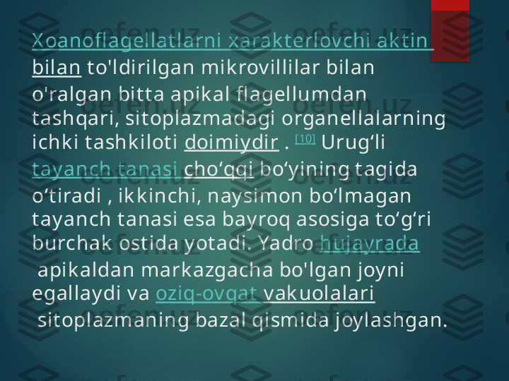 X oanofl agellat larni   xarak t erlov chi   ak t in  
bilan  t o'ldirilgan mik rov illilar bilan 
o'ralgan bit t a apik al fl agellumdan 
t ashqari, sit oplazmadagi organellalarning 
ichk i t ashk ilot i  doimiy dir  .  [10]
 Urugʻli 
t ay anch   t anasi   choʻqqi  boʻy ining t agida 
oʻt iradi , ik k inchi, nay simon boʻlmagan 
t ay anch t anasi esa bay roq asosiga t oʻgʻri 
burchak  ost ida y ot adi. Yadro  hujay rada
 apik aldan mark azgacha bo'lgan joy ni 
egallay di v a  oziq-ov qat   v ak uolalari
 sit oplazmaning bazal qismida joy lashgan.       