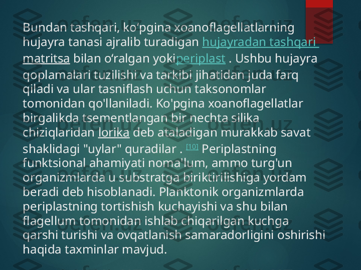 Bundan tashqari, koʻpgina xoanoflagellatlarning 
hujayra tanasi ajralib turadigan  hujayradan   tashqari  
matritsa  bilan oʻralgan yoki periplast  . Ushbu hujayra 
qoplamalari tuzilishi va tarkibi jihatidan juda farq 
qiladi va ular tasniflash uchun taksonomlar 
tomonidan qo'llaniladi. Ko'pgina xoanoflagellatlar 
birgalikda tsementlangan bir nechta silika 
chiziqlaridan  lorika  deb ataladigan murakkab savat 
shaklidagi "uylar" quradilar .  [10]
 Periplastning 
funktsional ahamiyati noma'lum, ammo turg'un 
organizmlarda u substratga biriktirilishiga yordam 
beradi deb hisoblanadi. Planktonik organizmlarda 
periplastning tortishish kuchayishi va shu bilan 
flagellum tomonidan ishlab chiqarilgan kuchga 
qarshi turishi va ovqatlanish samaradorligini oshirishi 
haqida taxminlar mavjud.       