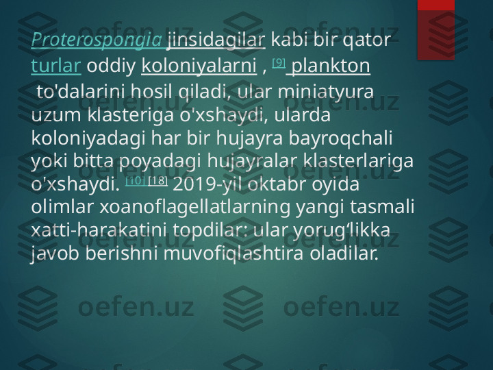 Proterospongia   jinsidagilar  kabi bir qator 
turlar  oddiy  koloniyalarni  ,  [9]
 plankton
 to'dalarini hosil qiladi, ular miniatyura 
uzum klasteriga o'xshaydi, ularda 
koloniyadagi har bir hujayra bayroqchali 
yoki bitta poyadagi hujayralar klasterlariga 
o'xshaydi.  [10]  [18]
 2019-yil oktabr oyida 
olimlar xoanoflagellatlarning yangi tasmali 
xatti-harakatini topdilar: ular yorugʻlikka 
javob berishni muvofiqlashtira oladilar.       