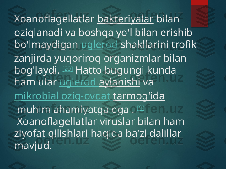 Xoanoflagellatlar  bakteriyalar  bilan 
oziqlanadi va boshqa yo'l bilan erishib 
bo'lmaydigan  uglerod  shakllarini trofik 
zanjirda yuqoriroq organizmlar bilan 
bog'laydi.  [20]
 Hatto bugungi kunda 
ham ular  uglerod   aylanishi  va 
mikrobial   oziq-ovqat   tarmog'ida
 muhim ahamiyatga ega .  [9]
 Xoanoflagellatlar viruslar bilan ham 
ziyofat qilishlari haqida ba'zi dalillar 
mavjud.       