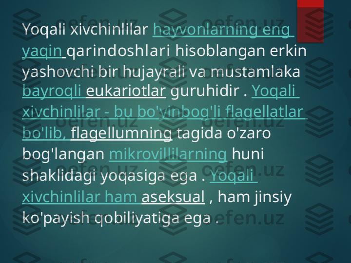 Yoqali xivchinlilar  hayvonlarning   eng  
yaqin   qarindoshlari  hisoblangan erkin 
yashovchi bir hujayrali va mustamlaka 
bayroqli   eukariotlar  guruhidir .  Yoqali  
xivchinlilar  -  bu   bo'yinbog'li   flagellatlar  
bo'lib ,  flagellumning  tagida o'zaro 
bog'langan  mikrovillilarning  huni 
shaklidagi yoqasiga ega .  Yoqali  
xivchinlilar  ham  aseksual  , ham jinsiy 
ko'payish qobiliyatiga ega .       