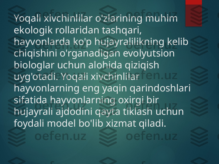 Yoqali xivchinlilar o'zlarining muhim 
ekologik rollaridan tashqari, 
hayvonlarda ko'p hujayralilikning kelib 
chiqishini o'rganadigan evolyutsion 
biologlar uchun alohida qiziqish 
uyg'otadi. Yoqali xivchinlilar 
hayvonlarning eng yaqin qarindoshlari 
sifatida hayvonlarning oxirgi bir 
hujayrali ajdodini qayta tiklash uchun 
foydali model bo'lib xizmat qiladi.       