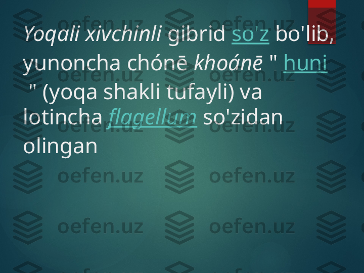 Yoqali xivchinli  gibrid  so'z  bo'lib, 
yunoncha chónē  khoánē  "  huni
 " (yoqa shakli tufayli) va 
lotincha  flagellum  so'zidan 
olingan        