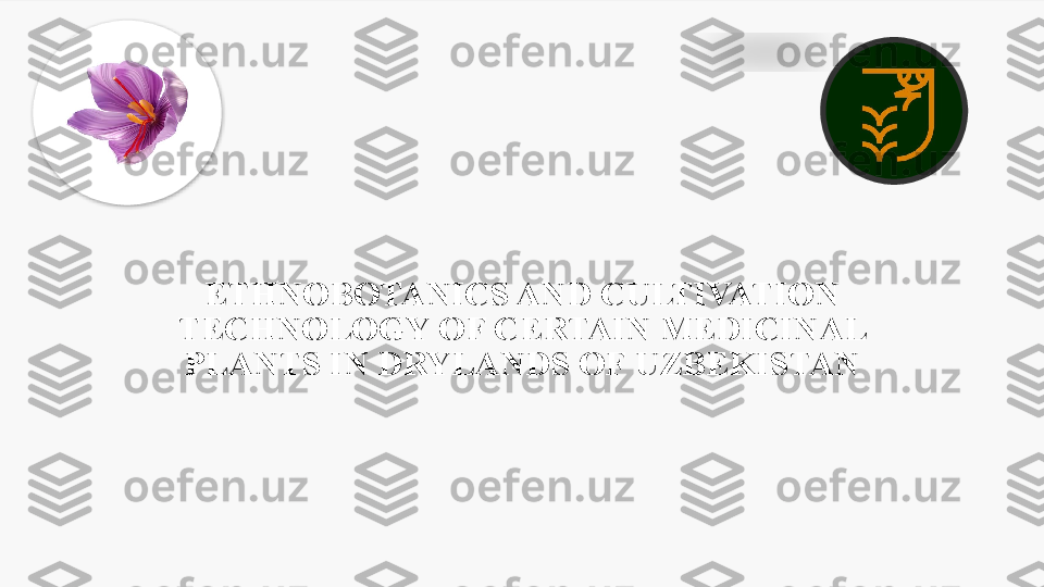 ETHNOBOTANICS AND CULTIVATION 
TECHNOLOGY OF CERTAIN MEDICINAL 
PLANTS IN DRYLANDS OF UZBEKISTAN
    
