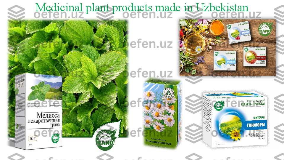 Medicinal plant products made in Uzbekistan  