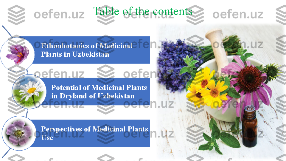 Table of the contents
Ethnobotanics of Medicinal 
Plants in Uzbekistan
Potential of Medicinal Plants 
in Dryland of Uzbekistan
Perspectives of Medicinal Plants 
Use 