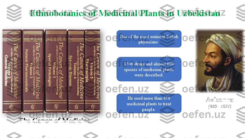 Avicenna
(980 - 1037)
The Canon of Medicine One of the most eminent Uzbek 
physicians 
He used more than 450 
medicinal plants to treat 
people.1500 drugs and almost 800 
species of medicinal plants 
were described.Ethnobotanics of Medicinal Plants in Uzbekistan  