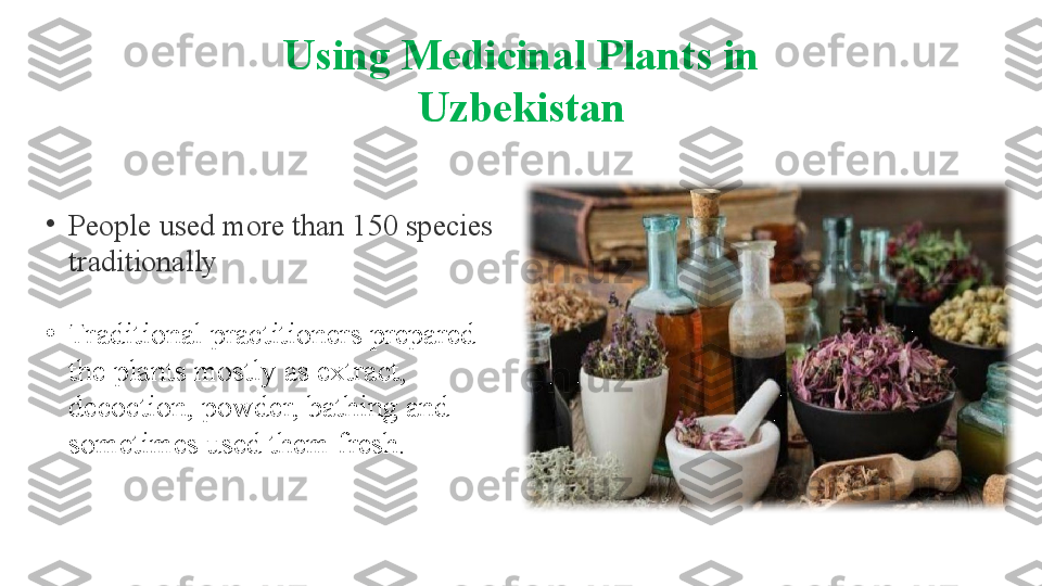 Using Medicinal Plants in 
Uzbekistan
•
People used more than 150 species 
traditionally
•
Traditional practitioners prepared 
the plants mostly as extract, 
decoction, powder, bathing and 
sometimes used them fresh. 