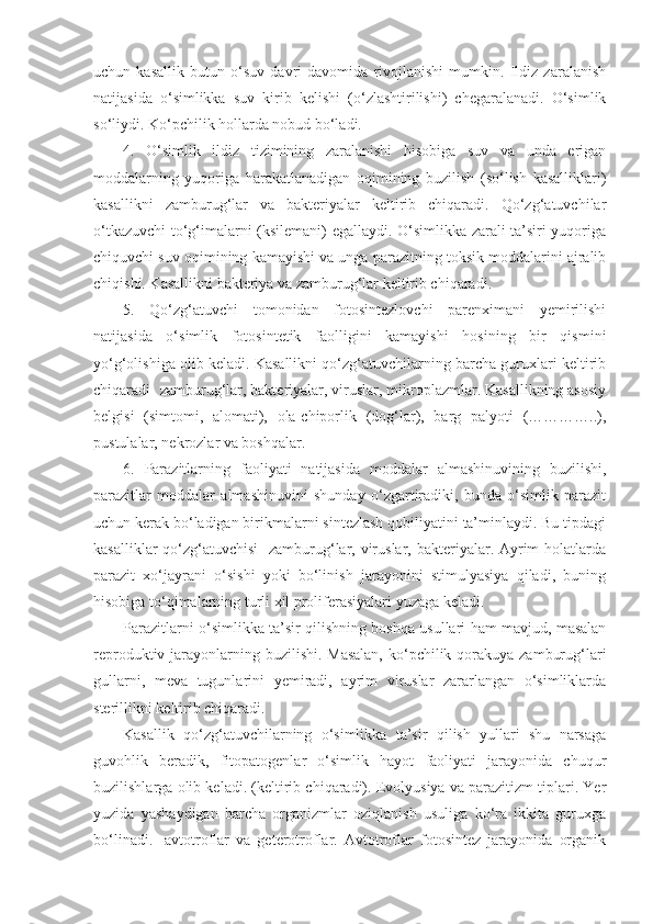 uchun   kasallik   butun   o‘suv   davri   davomida   rivojlanishi   mumkin.   Ildiz   zaralanish
natijasida   o‘simlikka   suv   kirib   kelishi   (o‘zlashtirilishi)   chegaralanadi.   O‘simlik
so‘liydi. Ko‘pchilik hollarda nobud bo‘ladi.
4.   O‘simlik   ildiz   tizimining   zaralanishi   hisobiga   suv   va   unda   erigan
moddalarning   yuqoriga   harakatlanadigan   oqimining   buzilish   (so‘lish   kasalliklari)
kasallikni   zamburug‘lar   va   bakteriyalar   keltirib   chiqaradi.   Qo‘zg‘atuvchilar
o‘tkazuvchi to‘g‘imalarni (ksilemani) egallaydi. O‘simlikka zarali ta’siri yuqoriga
chiquvchi suv oqimining kamayishi va unga parazitning toksik moddalarini ajralib
chiqishi. Kasallikni bakteriya va zamburug‘lar keltirib chiqaradi.
5.   Qo‘zg‘atuvchi   tomonidan   fotosintezlovchi   parenximani   yemirilishi
natijasida   o‘simlik   fotosintetik   faolligini   kamayishi   hosining   bir   qismini
yo‘g‘olishiga olib keladi. Kasallikni qo‘zg‘atuvchilarning barcha guruxlari keltirib
chiqaradi- zamburug‘lar, bakteriyalar, viruslar, mikroplazmlar. Kasallikning asosiy
belgisi   (simtomi,   alomati),   ola-chiporlik   (dog‘lar),   barg   palyoti   (…………..),
pustulalar, nekrozlar va boshqalar.
6.   Parazitlarning   faoliyati   natijasida   moddalar   almashinuvining   buzilishi,
parazitlar   moddalar   almashinuvini   shunday   o‘zgartiradiki,   bunda   o‘simlik   parazit
uchun kerak bo‘ladigan birikmalarni sintezlash qobiliyatini ta’minlaydi. Bu tipdagi
kasalliklar  qo‘zg‘atuvchisi-  zamburug‘lar, viruslar, bakteriyalar. Ayrim  holatlarda
parazit   xo‘jayrani   o‘sishi   yoki   bo‘linish   jarayonini   stimulyasiya   qiladi,   buning
hisobiga to‘qimalarning turli xil proliferasiyalari yuzaga keladi.
Parazitlarni o‘simlikka ta’sir qilishning boshqa usullari ham mavjud, masalan
reproduktiv jarayonlarning buzilishi. Masalan,  ko‘pchilik qorakuya zamburug‘lari
gullarni,   meva   tugunlarini   yemiradi,   ayrim   viruslar   zararlangan   o‘simliklarda
sterillikni keltirib chiqaradi.
Kasallik   qo‘zg‘atuvchilarning   o‘simlikka   ta’sir   qilish   yullari   shu   narsaga
guvohlik   beradik,   fitopatogenlar   o‘simlik   hayot   faoliyati   jarayonida   chuqur
buzilishlarga olib keladi. (keltirib chiqaradi). Evolyusiya va parazitizm tiplari. Yer
yuzida   yashaydigan   barcha   organizmlar   oziqlanish   usuliga   ko‘ra   ikkita   guruxga
bo‘linadi.-   avtotroflar   va   geterotroflar.   Avtotroflar   fotosintez   jarayonida   organik 