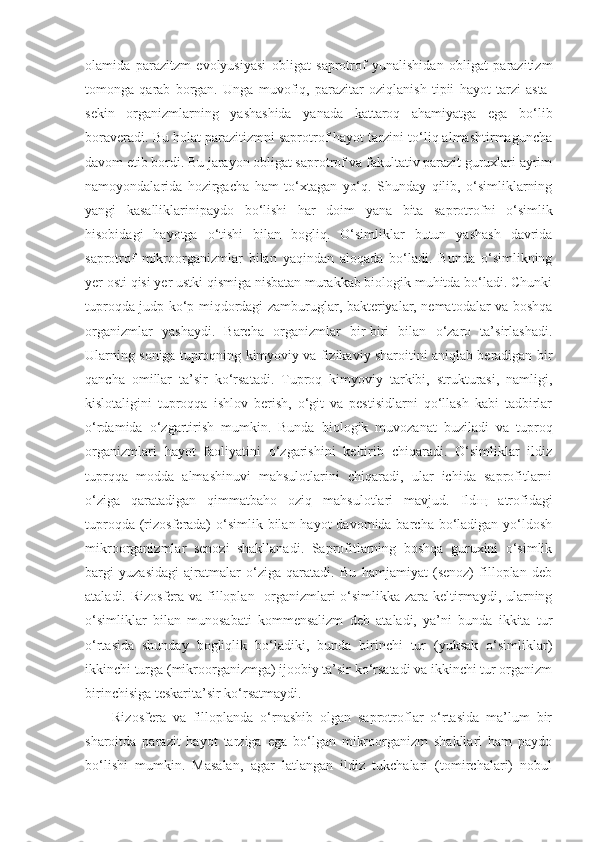 olamida   parazitzm   evolyusiyasi   obligat   saprotrof   yunalishidan   obligat   parazitizm
tomonga   qarab   borgan.   Unga   muvofiq,   parazitar   oziqlanish   tipii   hayot   tarzi   asta-
sekin   organizmlarning   yashashida   yanada   kattaroq   ahamiyatga   ega   bo‘lib
boraveradi. Bu holat parazitizmni saprotrof hayot tarzini to‘liq almashtirmaguncha
davom etib bordi. Bu jarayon obligat saprotrof va fakultativ parazit guruxlari ayrim
namoyondalarida   hozirgacha   ham   to‘xtagan   yo‘q.   Shunday   qilib,   o‘simliklarning
yangi   kasalliklarinipaydo   bo‘lishi   har   doim   yana   bita   saprotrofni   o‘simlik
hisobidagi   hayotga   o‘tishi   bilan   bogliq.   O‘simliklar   butun   yashash   davrida
saprotrof   mikroorganizmlar   bilan   yaqindan   aloqada   bo‘ladi.   Bunda   o‘simlikning
yer osti qisi yer ustki qismiga nisbatan murakkab biologik muhitda bo‘ladi. Chunki
tuproqda judp ko‘p miqdordagi zamburuglar, bakteriyalar, nematodalar va boshqa
organizmlar   yashaydi.   Barcha   organizmlar   bir-biri   bilan   o‘zaro   ta’sirlashadi.
Ularning soniga tuproqning kimyoviy va fizikaviy sharoitini aniqlab beradigan bir
qancha   omillar   ta’sir   ko‘rsatadi.   Tuproq   kimyoviy   tarkibi,   strukturasi,   namligi,
kislotaligini   tuproqqa   ishlov   berish,   o‘git   va   pestisidlarni   qo‘llash   kabi   tadbirlar
o‘rdamida   o‘zgartirish   mumkin.   Bunda   biologik   muvozanat   buziladi   va   tuproq
organizmlari   hayot   faoliyatini   o‘zgarishini   keltirib   chiqaradi.   O‘simliklar   ildiz
tuprqqa   modda   almashinuvi   mahsulotlarini   chiqaradi,   ular   ichida   saprofitlarni
o‘ziga   qaratadigan   qimmatbaho   oziq   mahsulotlari   mavjud.   Ild щ   atrofidagi
tuproqda (rizosferada)  o‘simlik bilan hayot  davomida barcha  bo‘ladigan yo‘ldosh
mikroorganizmlar   senozi   shakllanadi.   Saprofitlarning   boshqa   guruxini   o‘simlik
bargi   yuzasidagi   ajratmalar   o‘ziga   qaratadi.   Bu   hamjamiyat   (senoz)   filloplan   deb
ataladi. Rizosfera va filloplan   organizmlari  o‘simlikka zara keltirmaydi, ularning
o‘simliklar   bilan   munosabati   kommensalizm   deb   ataladi,   ya’ni   bunda   ikkita   tur
o‘rtasida   shunday   bogliqlik   bo‘ladiki,   bunda   birinchi   tur   (yuksak   o‘simliklar)
ikkinchi turga (mikroorganizmga) ijoobiy ta’sir ko‘rsatadi va ikkinchi tur organizm
birinchisiga teskarita’sir ko‘rsatmaydi.
Rizosfera   va   filloplanda   o‘rnashib   olgan   saprotroflar   o‘rtasida   ma’lum   bir
sharoitda   parazit   hayot   tarziga   ega   bo‘lgan   mikroorganizm   shakllari   ham   paydo
bo‘lishi   mumkin.   Masalan,   agar   latlangan   ildiz   tukchalari   (tomirchalari)   nobul 