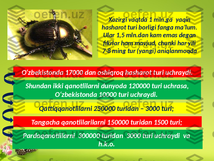 Xozirgi vaqtda 1 mln.ga  yaqin 
hasharot turi borligi fanga ma’lum. 
Ular 1,5 mln.dan kam emas degan 
fikrlar ham mavjud, chunki har yili 
7-8 ming tur (yangi) aniqlanmoqda
Shundan ikki qanotlilarni dunyoda 120000 turi uchrasa, 
O‘zbekistonda 10000 turi uchraydi. 
Qattiqqanotlilarni 250000 turidan – 3000 turi; 
Tangacha qanotlilarilarni 150000 turidan 1500 turi; 
Pardaqanotlilarni  300000 turidan  3000 turi uchraydi  va  
h.k.o. O‘zbekistonda 17000 dan oshiqroq hasharot turi uchraydi. 