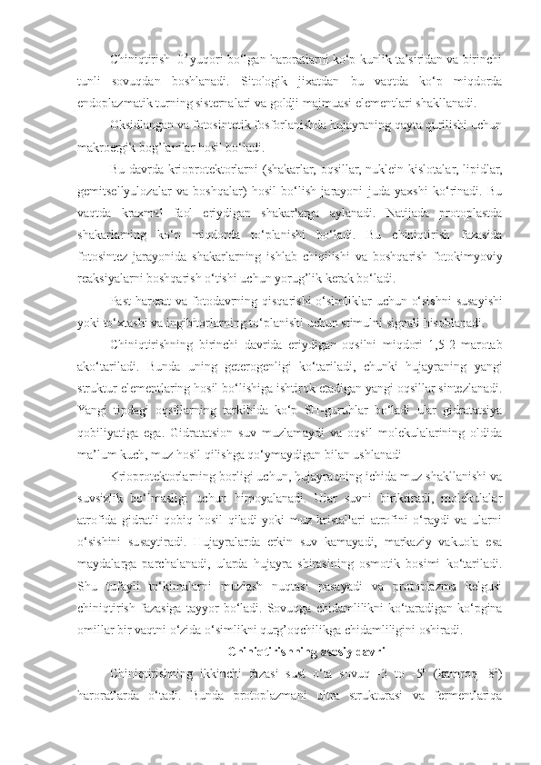 Chiniqtirish  0 0  
yuqori bo‘lgan haroratlarni ko‘p kunlik ta’siridan va birinchi
tunli   sovuqdan   boshlanadi.   Sitologik   jixatdan   bu   vaqtda   ko‘p   miqdorda
endoplazmatik turning sisternalari va goldji  majmuasi  elementlari   shakllanadi.
Oksidlangan va fotosintetik fosforlanishda hujayraning qayta qurilishi uchun
makroergik bog’lamlar hosil bo‘ladi.
Bu davrda krioprotektorlarni  (shakarlar, oqsillar, nuklein kislotalar, lipidlar,
gemitsellyulozalar   va   boshqalar)   hosil   bo‘lish   jarayoni   juda   yaxshi   ko‘rinadi.   Bu
vaqtda   kraxmal   faol   eriydigan   shakarlarga   aylanadi.   Natijada   protoplastda
shakarlarning   ko‘p   miqdorda   to‘planishi   bo‘ladi.   Bu   chiniqtirish   fazasida
fotosintez   jarayonida   shakarlarning   ishlab   chiqilishi   va   boshqarish   fotokimyoviy
reaksiyalarni   boshqarish   o‘tishi   uchun   yorug’lik   kerak   bo‘ladi.
Past   harorat   va   fotodavrning   qisqarishi   o‘simliklar   uchun   o‘sishni   susayishi
yoki   to‘xtashi   va   ingibitorlarning   to‘planishi   uchun   stimulni   signali   hisoblanadi.
Chiniqtirishning   birinchi   davrida   eriydigan   oqsilni   miqdori   1,5-2   marotab
ako‘tariladi.   Bunda   uning   geterogenligi   ko‘tariladi,   chunki   hujayraning   yangi
struktur   elementlaring   hosil   bo‘lishiga   ishtirok   etadigan   yangi   oqsillar   sintezlanadi.
Yangi   tipdagi   oqsillarning   tarkibida   ko‘p   SH-guruhla r   bo‘ladi   ular   gidratatsiya
qobiliyatiga   ega.   Gidratatsion   suv   muzlamaydi   va   oqsil   molekulalarining   oldida
ma’lum kuch, muz hosil qilishga qo‘ymaydigan bilan ushlanadi
Krioprotektorlarning borligi uchun, hujayrauning ichida muz shakllanishi va
suvsizlik   bo‘lmasligi   uchun   himoyalanadi.   Ular   suvni   biriktiradi,   molekulalar
atrofida   gidratli   qobiq   hosil   qiladi   yoki   muz   kristallari   atrofini   o‘raydi   va   ularni
o‘sishini   susaytiradi.   Hujayralarda   erkin   suv   kamayadi,   markaziy   vakuola   esa
maydalarga   parchalanadi,   ularda   hujayra   shirasining   osmotik   bosimi   ko‘tariladi.
Shu   tufayli   to‘kimalarni   muzlash   nuqtasi   pasayadi   va   protoplazma   kelgusi
chiniqtirish   fazasiga  tayyor   bo‘ladi.  Sovuqga  chidamlilikni  ko‘taradigan   ko‘pgina
omillar bir vaqtni o‘zida o‘simlikni qurg’oqchilikga chidamliligini oshiradi.
Chiniqtirishning asosiy davri
Chiniqtirishning   ikkinchi   fazasi   sust   o‘ta   sovuq   -3   to   -5 0
  (kamroq   -8 0
)
haroratlarda   o‘tadi.   Bunda   protoplazmani   ultra   strukturasi   va   fermentlariqa 