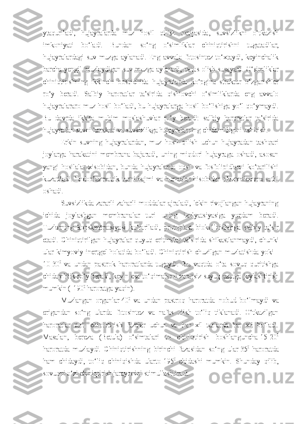 ytaquriladi,   hujayralarda   muz   hosil   qilish   natijasida,   suvsizlikni   o‘tkazish
imkoniyati   bo‘ladi.   Bundan   so‘ng   o‘simliklar   chiniqtirishni   tugatadilar,
hujayralardagi   suv   muzga   aylanadi.   Eng   avvalo   fotosintez   to‘xtaydi,   keyinchalik
barcha yengil muzlaydigan suv muzga aylanadi, nafas olish susayadi. O‘simliklar
chiniqtirishning   ikkinchi   bosqichida   hujayralarda   ko‘pgina   struktur   o‘zgarishlar
ro‘y   beradi.   Salbiy   haroratlar   ta’sirida   qishlovchi   o‘simliklarda   eng   avvalo
hujayralararo  muz  hosil  bo‘ladi,  bu  hujayralarga  hosil   bo‘lishiga   yo‘l  qo‘ymaydi.
Bu   davrda   ikkita   muhim   moslashuvlar   ro‘y   beradi:   salbiy   haroratlar   ta’sirida
hujayradan suvni harakati va suvsizlikga hujayralarning chidamliligini oshirish.
Erkin   suvning   hujayralardan,   muz   hosil   qilish   uchun   hujayradan   tashqari
joylarga   harakatini   membrana   bajaradi,   uning   miqdori   hujayraga   oshadi,   asosan
yangi   hosilalar   xisobidan,   bunda   hujayralarda   oqsil   va   fosfolipidlarni   ko‘tarilishi
kuzatiladi. Endoplazmattik turni hajmi  va burmalar hisobidan plazmalemma sathi
oshadi.
Suvsizlikda   zararli   zaharli   moddalar   ajraladi,   lekin   rivojlangan   hujayraning
ichida   joylashgan   membranalar   turi   uning   izolyatsiyasiga   yordam   beradi.
Tuzlarning   konskentratsiyasi   ko‘tariladi,   protoplast   biokolloidlariga   salbiy   ta’sir
etadi.   Chiniqtirilgan   hujayralar   quyuq   eritmalar   ta’sirida   shikastlanmaydi,   chunki
ular kimyoviy inertgel holatida bo‘ladi. Chiniqtirish chuzilgan muzlatishda yoki -
10-30 0  
va   undan   pastrok   haroratlarda   tugaydi.   Bu   vaqtda   o‘ta   sovuq   quritishga
chidamlilik ro‘y beradi, keyin esa to‘qimalarni zararsiz suyuq azotga joylashtirish
mumkin (-190 0 
haroratga yaqin). 
Muzlangan   organlar-40 0  
va   undan   pastroq   haroratda   nobud   bo‘lmaydi   va
erigandan   so‘ng   ularda   fotosintez   va   nafas   olish   to‘liq   tiklanadi.   O‘tkazilgan
haroratlar   turli   chiniqtirish   fazalar   uchun   va   har   xil   turlarda   har   xil   bo‘ladi.
Masalan,   bereza   ( Betula)   o‘simtalari   to   chiniqtirish   boshlanguncha -15-20 0
haroratda   muzlaydi.   Chiniqtirishning   birinchi   fazasidan   so‘ng   ular-35 0  
haroratda
ham   chidaydi,   to‘liq   chiniqishda   ularto-195 0  
chidashi   mumkin.   Shunday   qilib,
sovuqni o‘zi chiniqtirish jarayonini stimullashtiradi. 