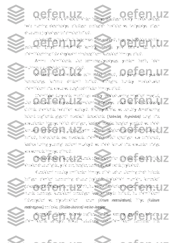 O‘simlik   issiqlik   shikastlanishdan   himoya   qiladigan   asosiy   moslashuvlarga
issiq   nurning   ekraniatsiya   qiladigan   q oplagich   h osilalar   va   izolyatsiya   qilgan
chuqurro q  joylashgan t o‘q imalar bo‘ladi.
Tukchalar,  q alin kutikula barg mezofilini saqlaydi, poya va kurtaklar, probka
qatlamlari   (poya   floemasi   va   kambiy,   probka   yoki   aerenxima),   cho‘l
o‘simliklarining ildiz sheykasini ninabarglilarni kurtaklari himoya qiladi.
Ammo   o‘simliklarda   ular   termoregulyatsiyaga   yo rdam   berib,   l e kin
mu h imro q   q uritishdan himoya qiladi.
Ninabargli   daraxtli   turlarda   q alin   p o‘ sti   bo‘ladi,   ular   yo n g’ inlarni   yuqori
haroratlariga   ko‘proq   chidamli   bo‘ladi.   Ko‘pgina   bunday   moslashuvlar
o‘simliklarni o‘ta sovuq va  q ur g’ o q chilikdan himoya qiladi.
O‘simliklar   dunyosida   morfologo-xul q iy   moslashuvning   misollari   mavjud,
ular   qisqa   vaqt   mobaynida   t o‘q imalarni   izolyatsiya   qiladi   va   o‘simliklarning
alo h ida   qismlarida   issiqlikni   saqlaydi.   Shar q iy   Afrika   va   Janubiy   Amerikaning
baland   tog’larida   gigantli   rozetkali   daraxtlarda   ( Lobelia,   Espeletia)   tungi   o‘ta
sovuqlardan   himoya   ishlab   chiqilgan,   kechasi   rozetka   barglari   yopiladi   va   o‘sish
konusini   himoya   qiladi.   Bunda   ayrim   turlarda   barglarining   tashqari   situkchali
bo‘ladi,   boshqalarida   esa   rozetkada   o‘simliklar   orqali   ajratilgan   suv   t o‘ planadi,
kechas   iuning   yuqorigi   qatlami   muzlaydi   va   o‘sish   konusi   o‘ta   sovuqdan   o‘ziga
xos vannada himoya  q ilinadi.
O‘simliklarning   kurtaklari   kurtak   tukchalari   bilan   q oplanadi,   smola   bilan,
shoxlar chuqurligida, yoki  q or, barglar, tuproq va suv ostida joylashadi.
Kurtaklarni  noqulay omillardan himoya   q ilish uchun ularning tinch holatda
bo‘lgan   qismlari   tuproqning   chuqur   joylarida   joylashishi   mumkin,   kontraktil
(qisqargan) ildizlar   yo rdamida. K o‘ rib, bu semiz ildizlarlarning uzunligi qisqaradi.
Bunda   tuproqga   kurtaklarni   tortadigan   kuchlar   paydo   bo‘ladi,   bu   o‘simliklarni
ildizpoyalari   va   piyozboshlari   -   arum   (Arum   maculatum),   liliya   (Lilium
matragone), proleska  (Scillasibirica) va boshqalar.
Kontraktil   ildizlar   baland   tog’lar,   tundra,   stepony   geofitlar   ko‘pgina
o‘simliklarida   uchraydi.   Sovuq   hududlarda   ular   o‘simliklarni   tuproqdan   o‘ta 